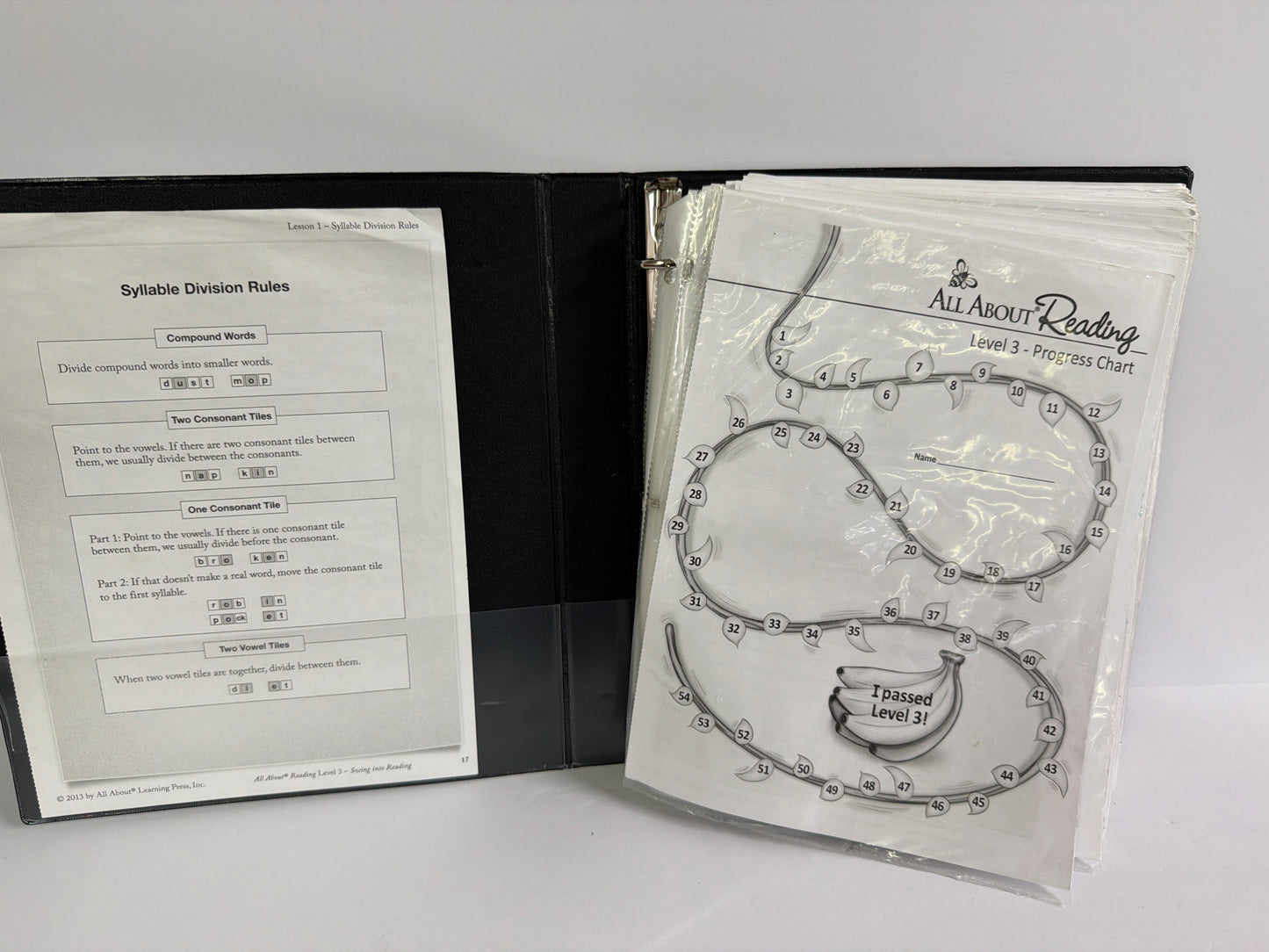 All About Reading Level 3 All About Reading Elementary Reading Textbooks