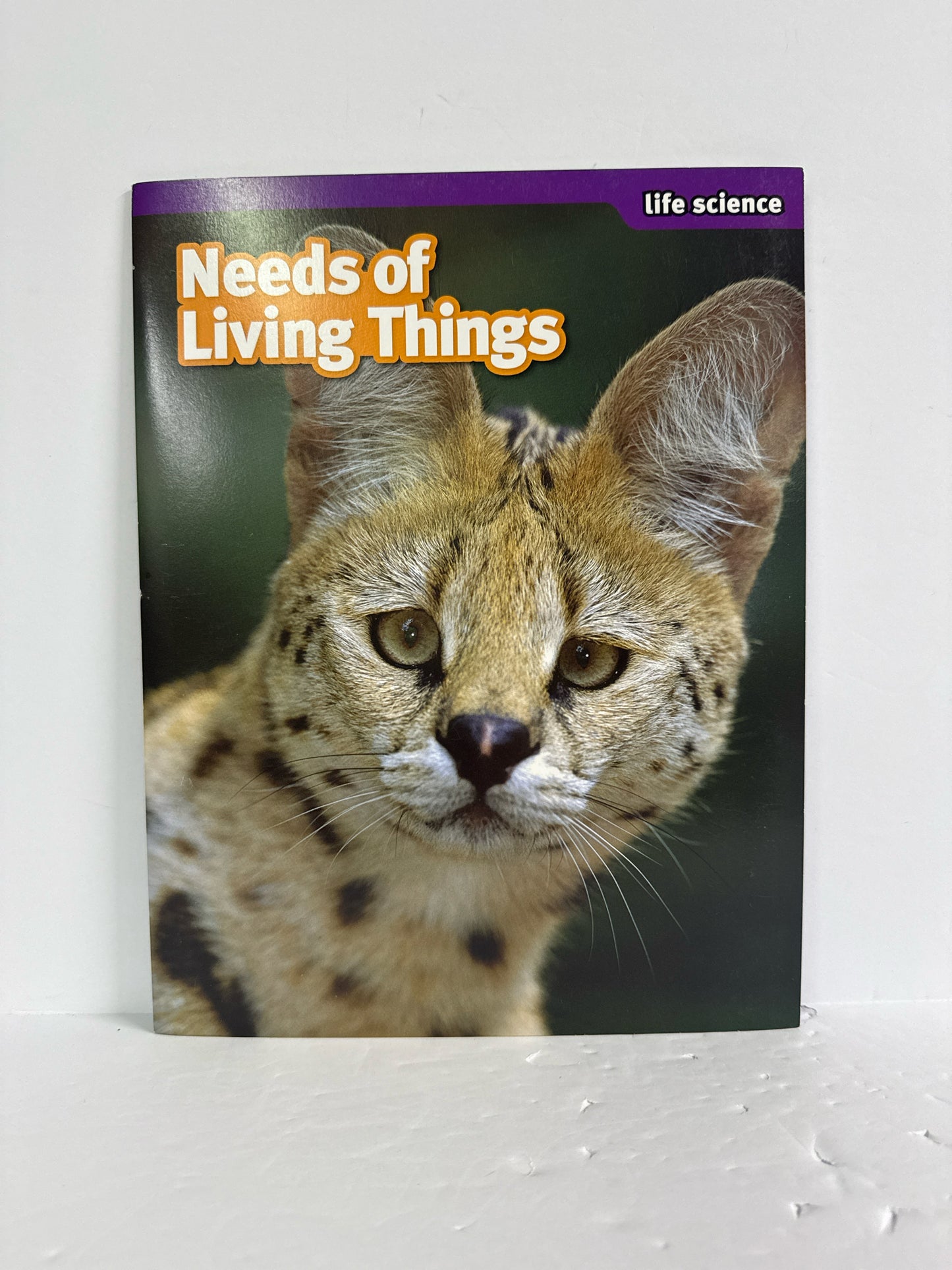 Needs of Living Things Scholastic Stem Activities Elementary Experiment Books