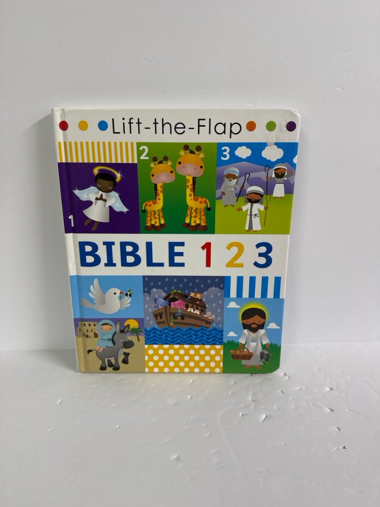 Bible 1 2 3 Page Publications Hardback Books