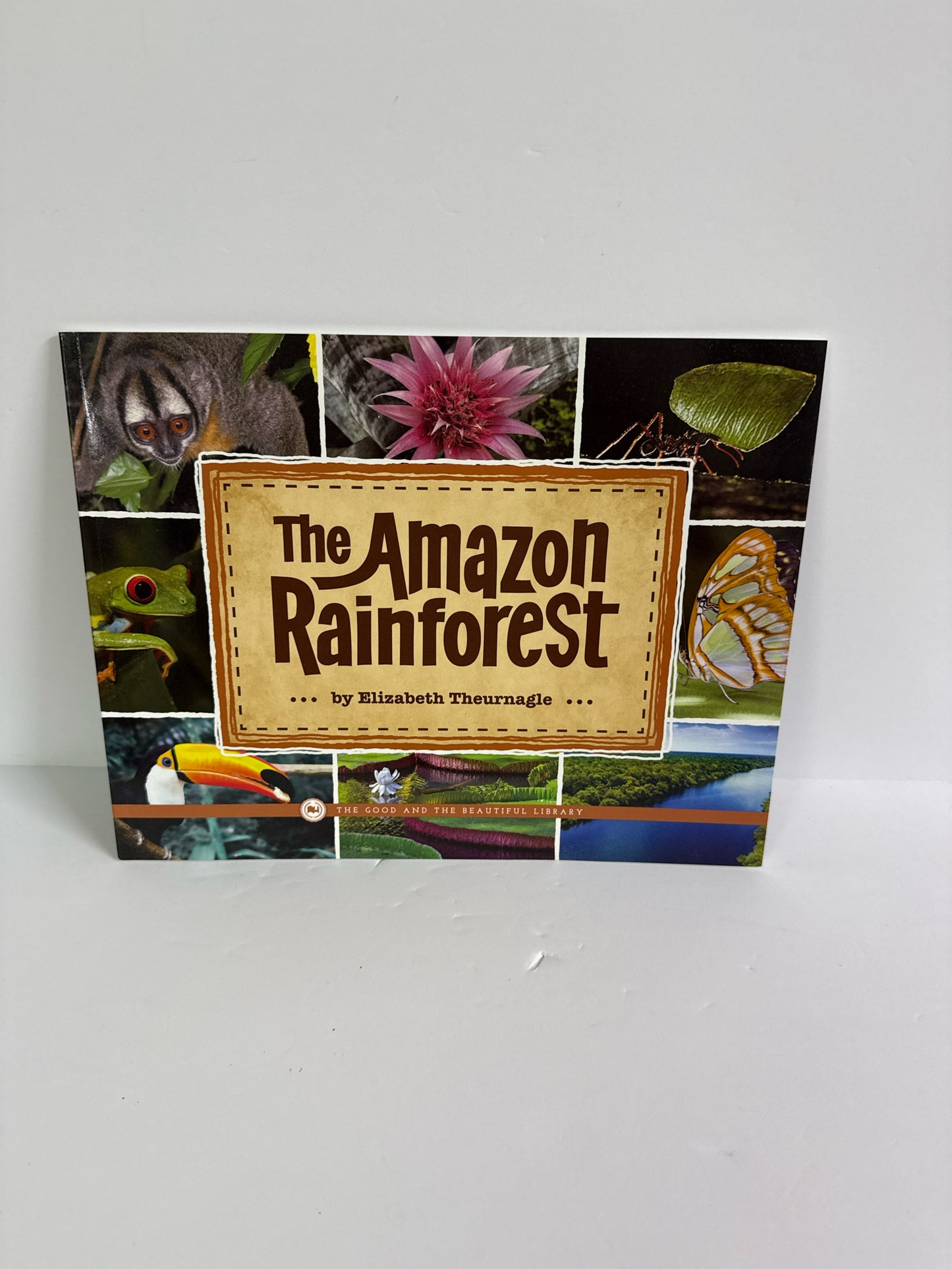 The Amazon Rainforest The Good and the Beautiful Middle School Science Textbooks