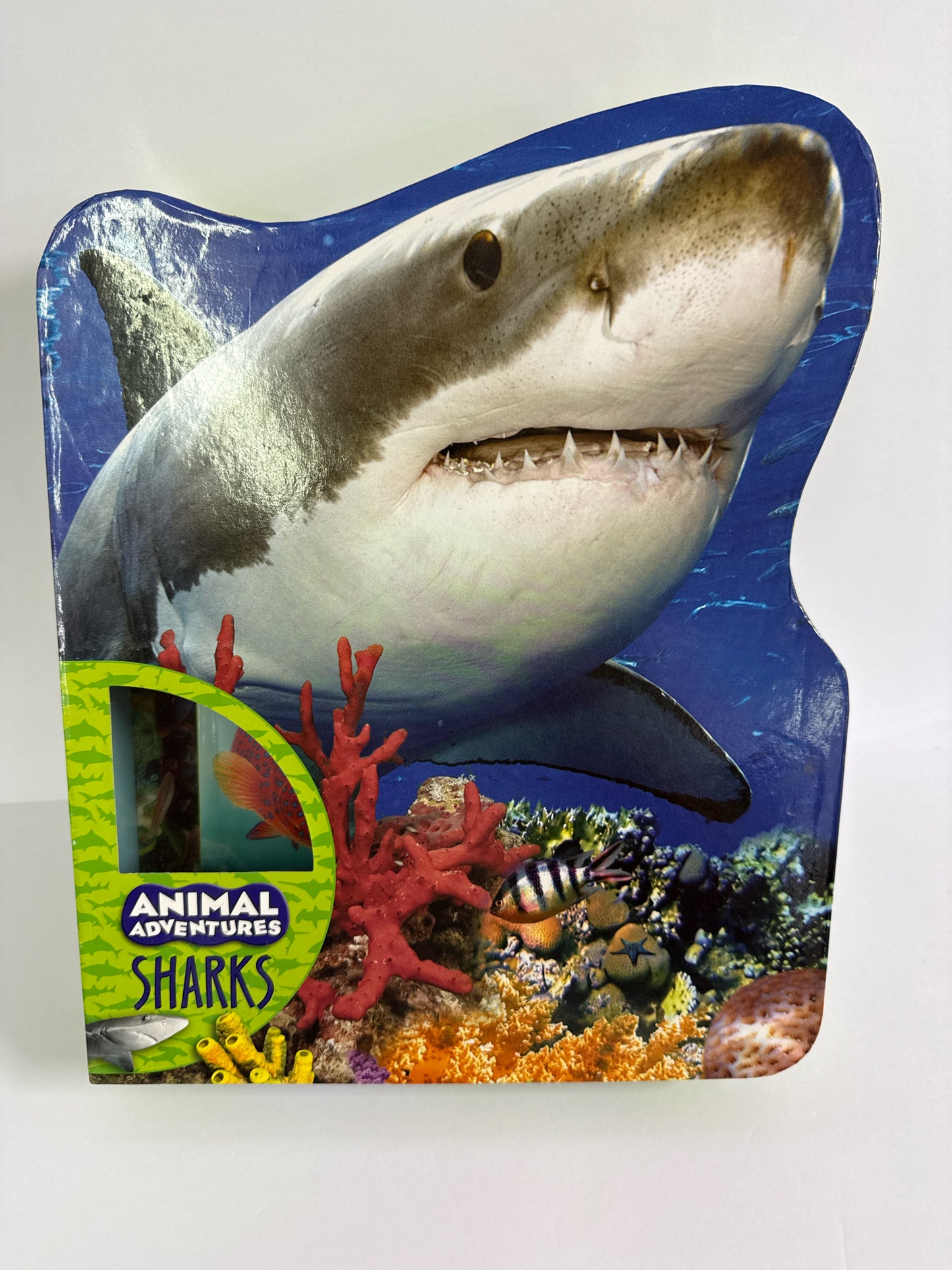 Animal Adventures Silver Dolphin Pre-Owned Elementary Ocean/Seashore