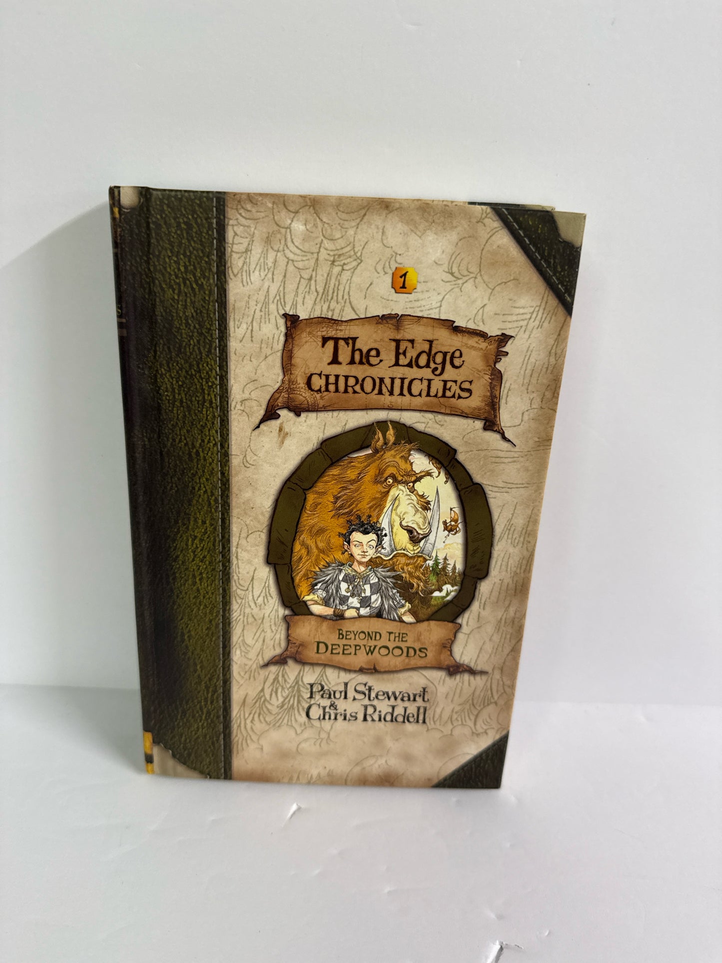 Beyond the Deep Woods David Fickling Pre-Owned Elementary Fiction Books