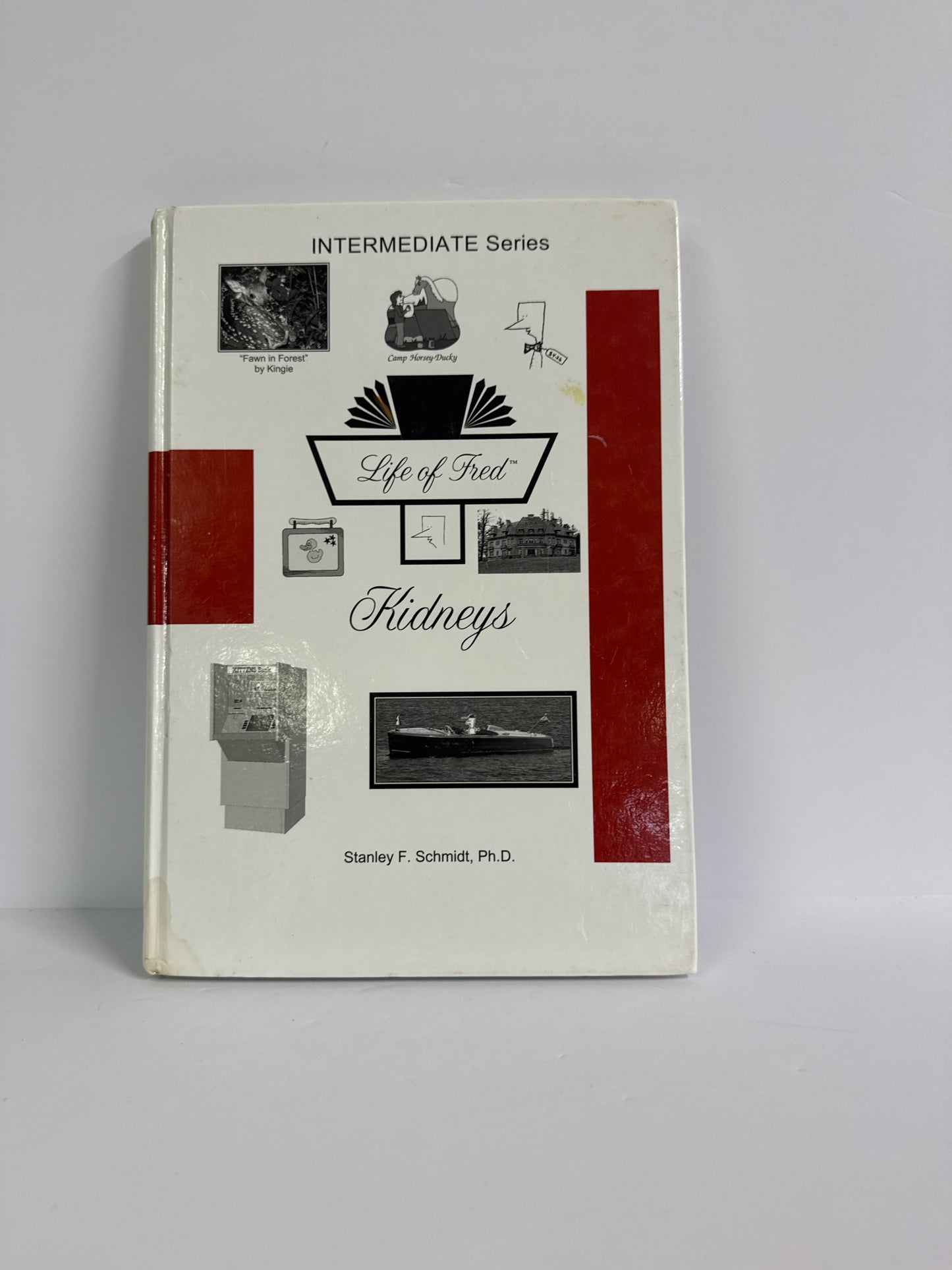 Kidneys Life of Fred Student Book Pre-Owned Elementary Mathematics Textbooks