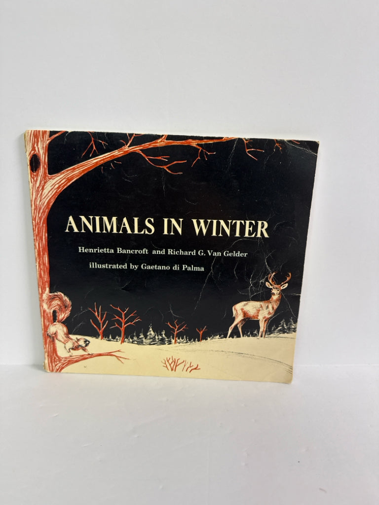 Animals in Winter Hentietta Bancroft and Richard G. V Scholastic Paperback Books