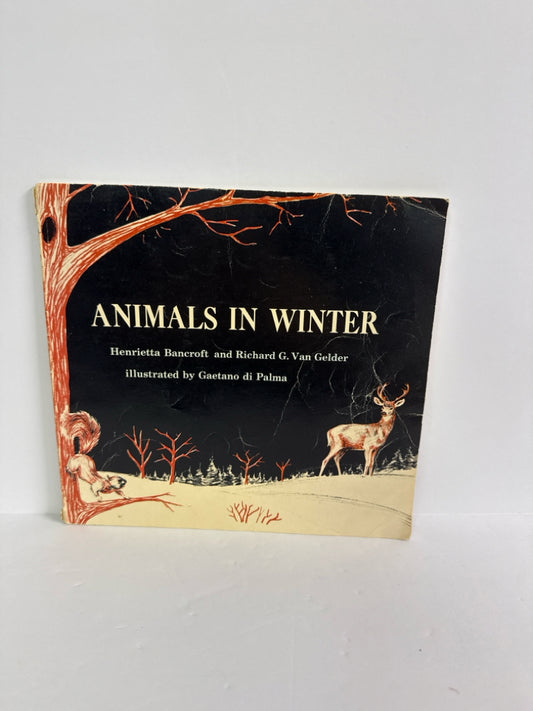 Animals in Winter Hentietta Bancroft and Richard G. V Scholastic Paperback Books