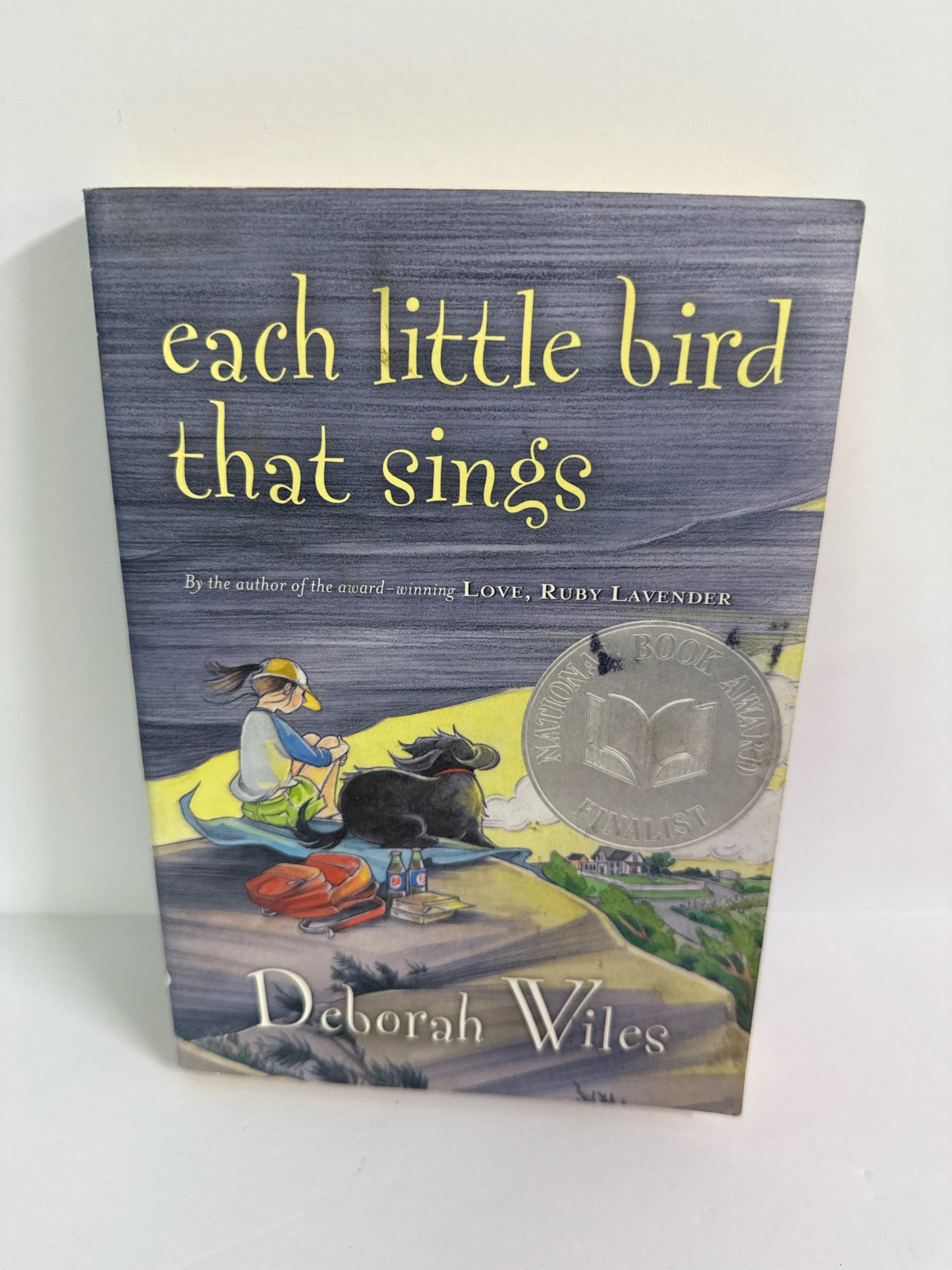 Each Little Bird that Sings Scholastic Pre-Owned Deborah Wiles Fiction Books