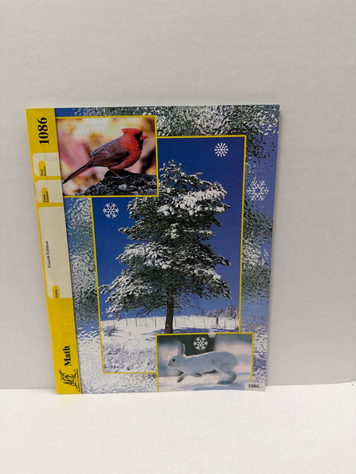 Math ACE Pace  Pre-Owned 8th Grade Mathematics Textbooks
