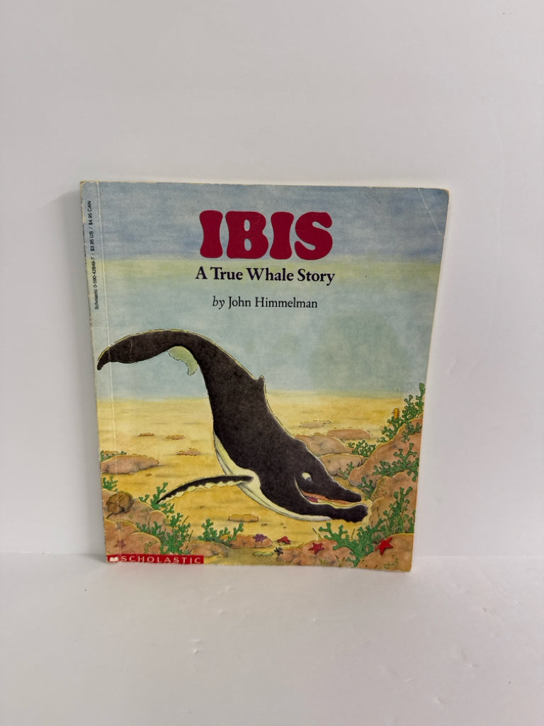 IBIS A True Whale Story John Himmelman Scholastic Paperback Books