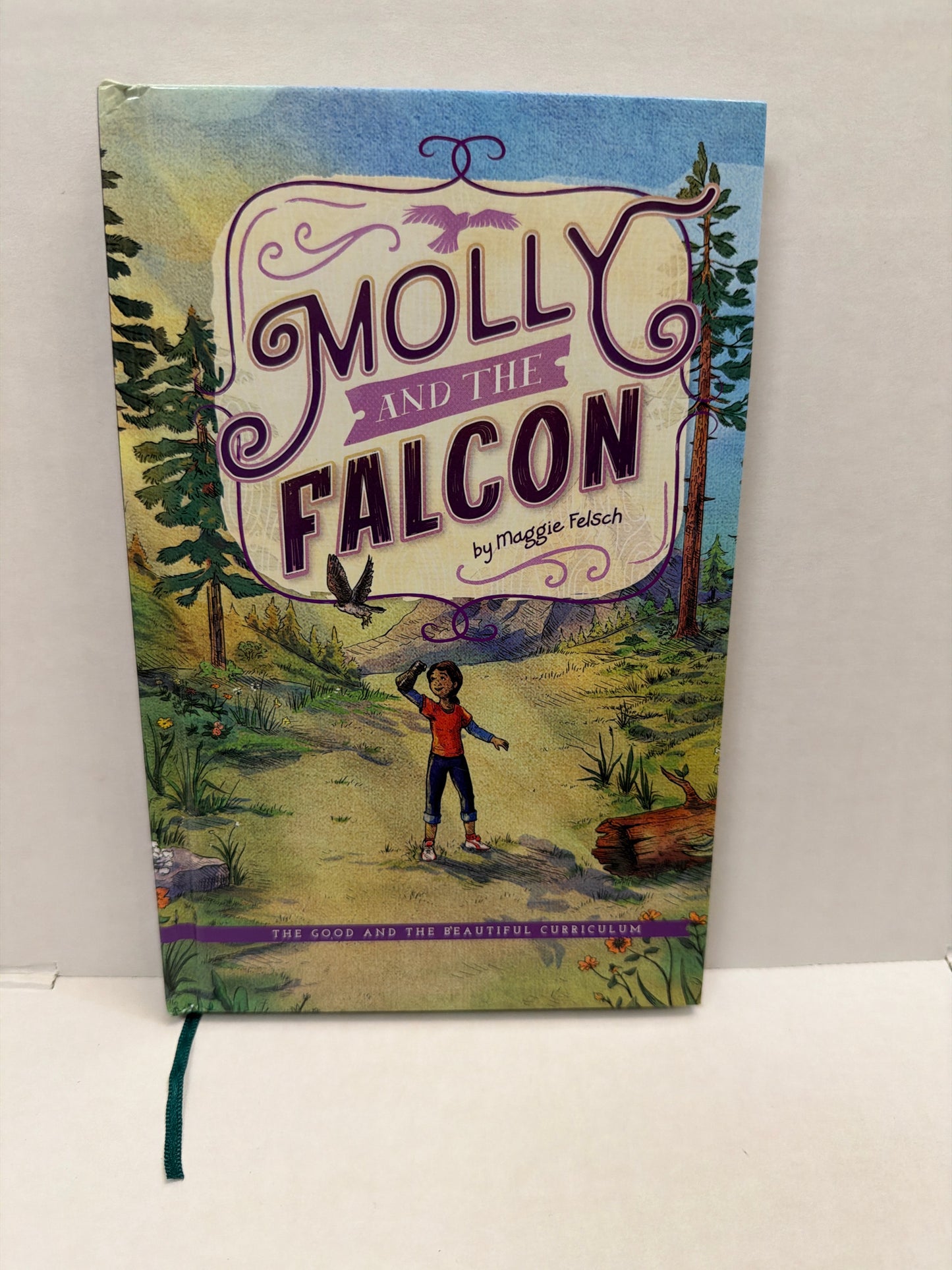 Molly and the Falcon The Good and the Beautiful Maggie Felsch Reading Textbooks
