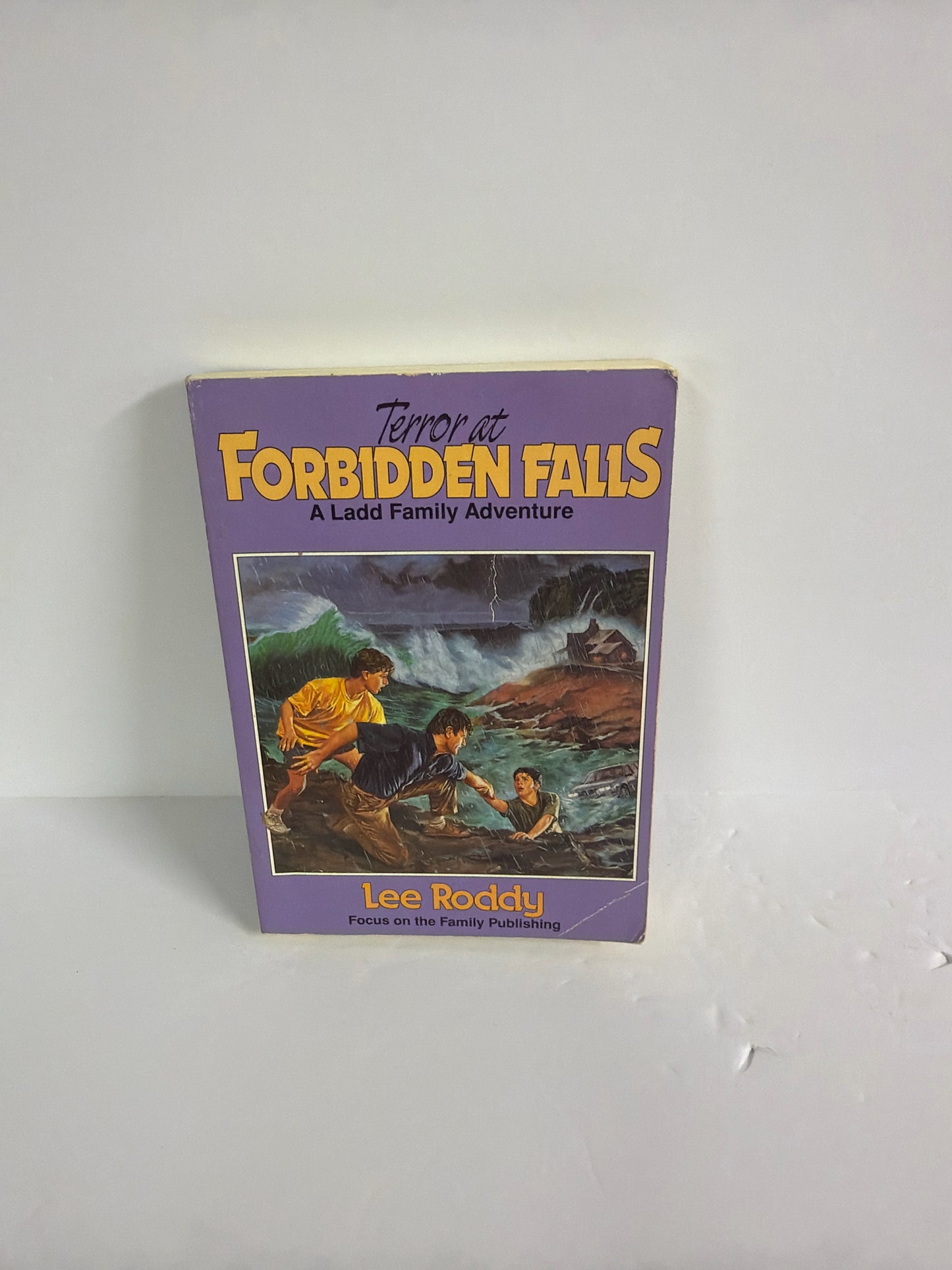 Terror at Forbidden Falls Focus on the Familly Pre-Owned Lee Roddy Fiction Books