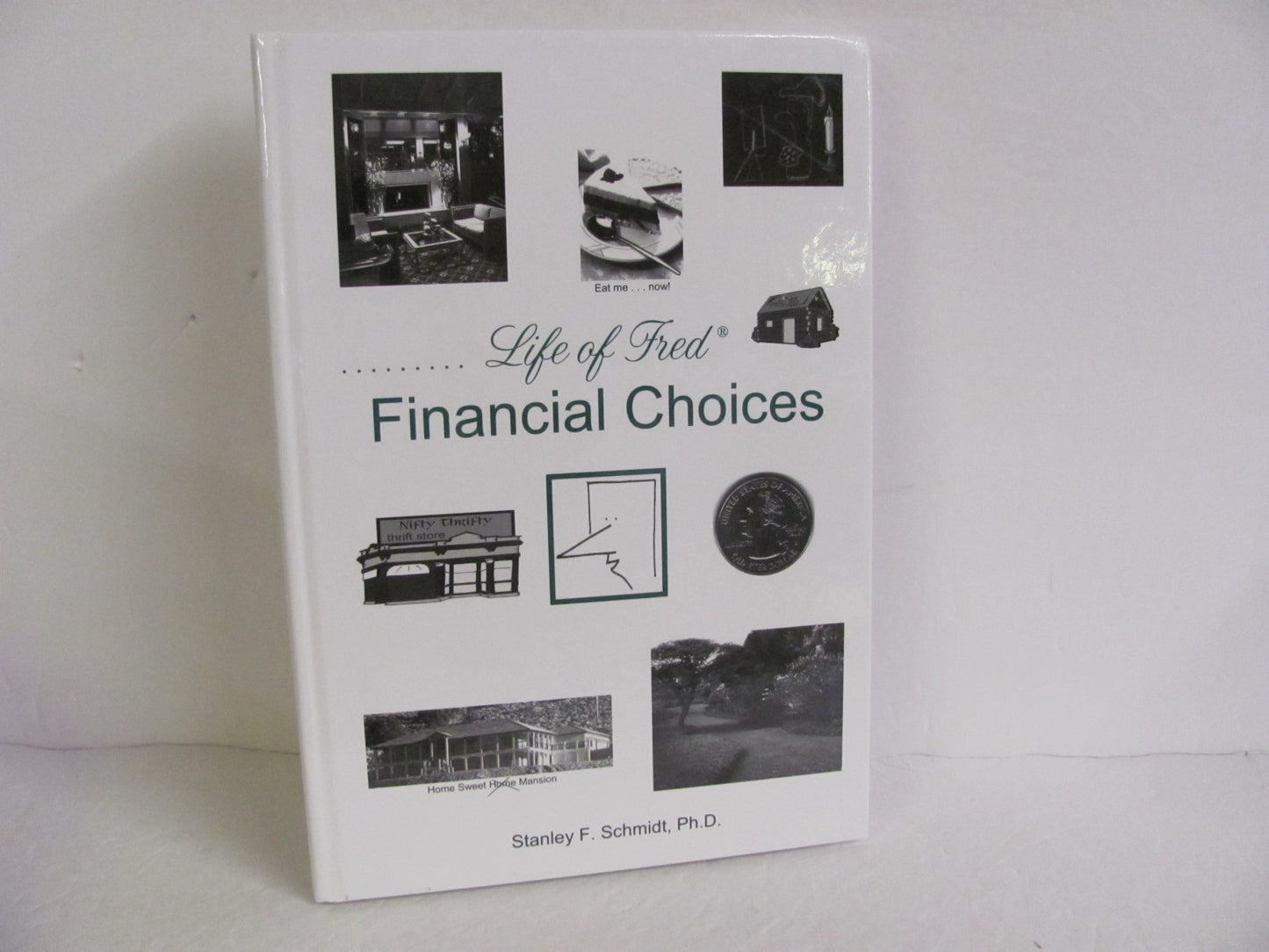 Financial Choices Life of Fred Pre-Owned Schmidt Mathematics Textbooks