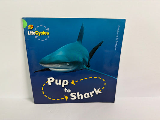 Pup to Shark Camilla de la Bedoyere QEB Pub Paperback Books