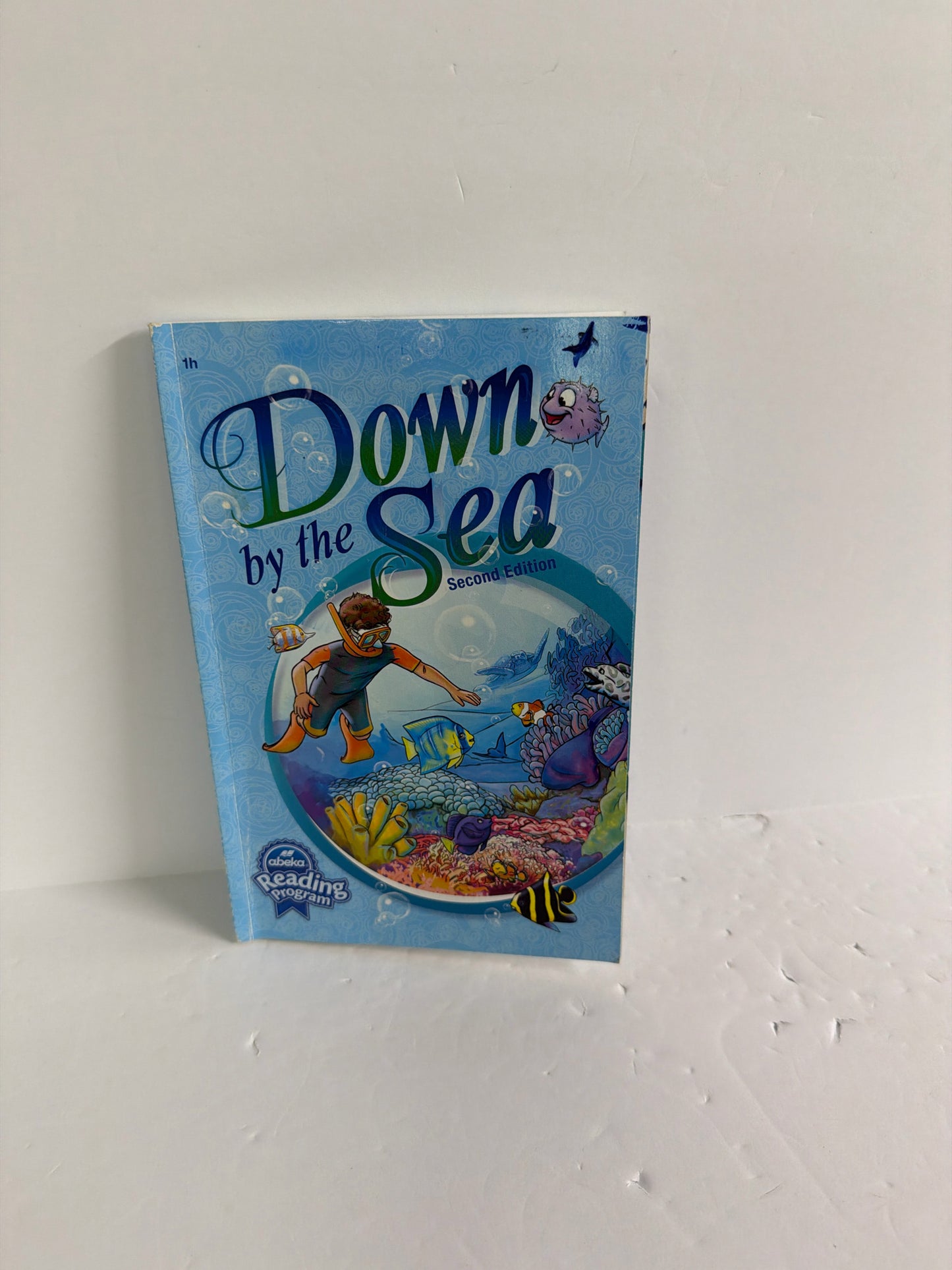 Down by the Sea Abeka Reader Pre-Owned 1st Grade Reading Textbooks