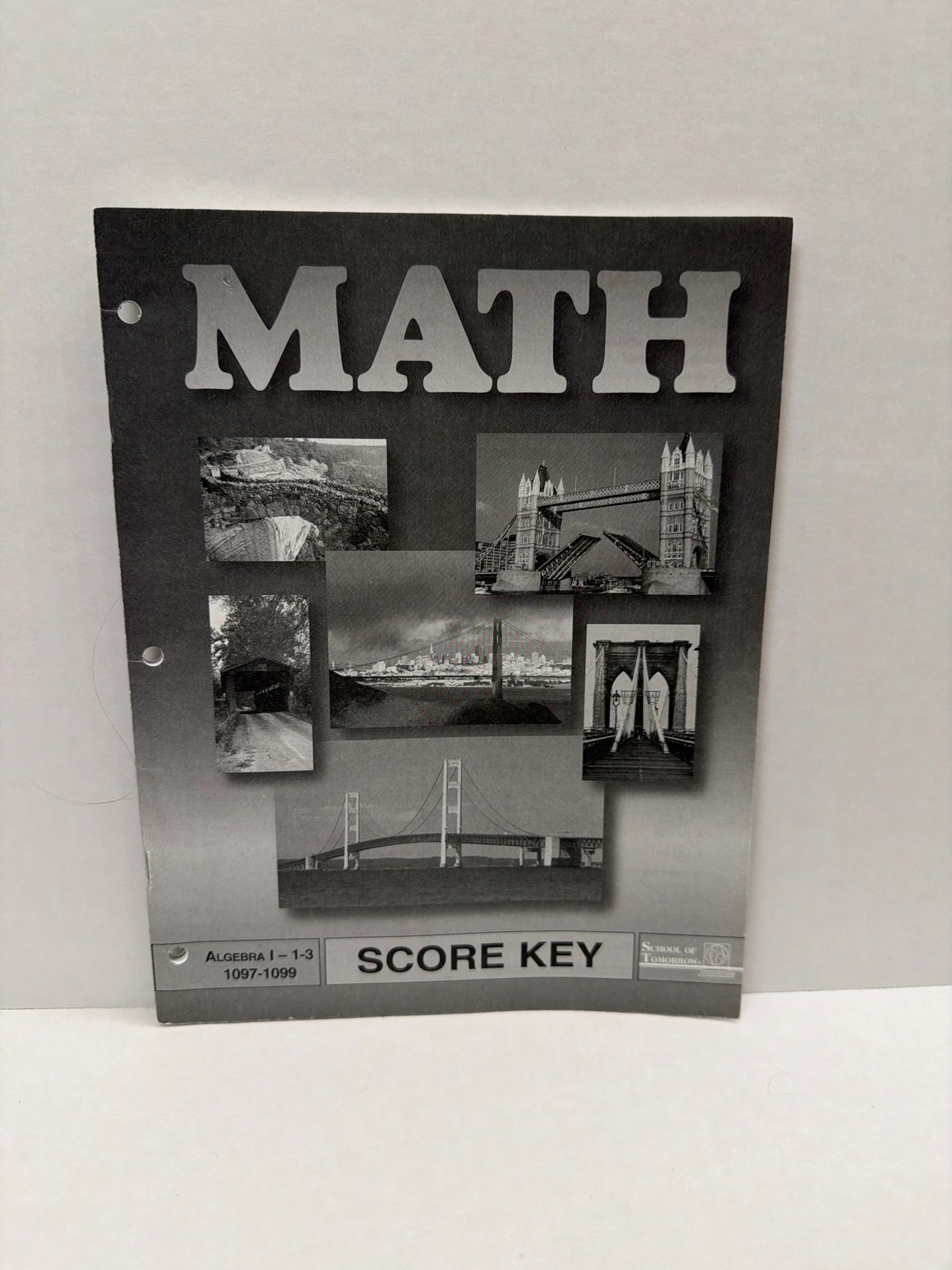 Algebra I ACE Score Key  Pre-Owned 9th Grade Mathematics Textbooks
