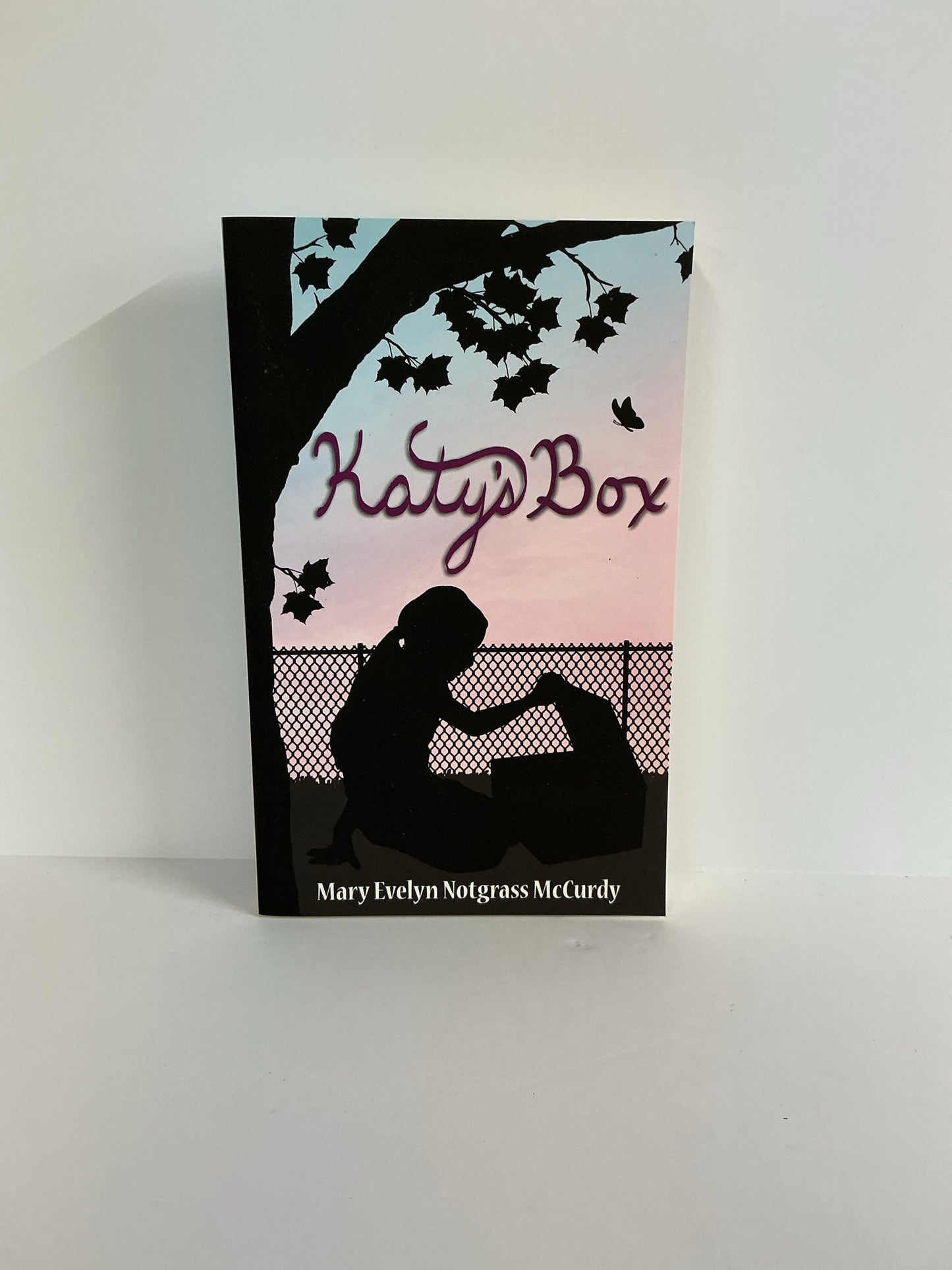 Katy's Box Notgrass Pre-Owned Mary Evelyn McCurdy Fiction Books