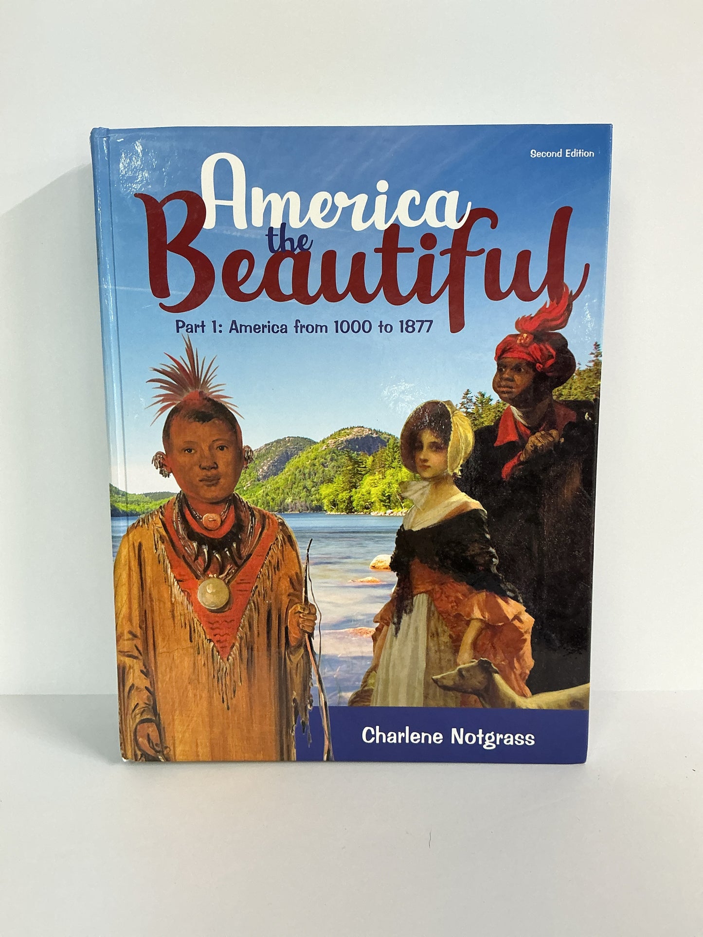 America the Beautiful 1 Notgrass Student Book Pre-Owned History Textbooks
