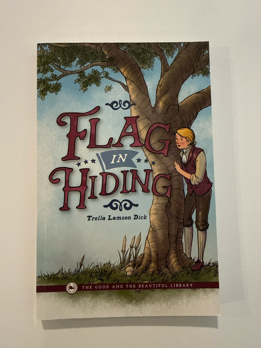 Flag in Hiding The Good and the Beautiful Pre-Owned Dick Reading Textbooks