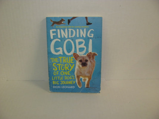 Finding Gobi General