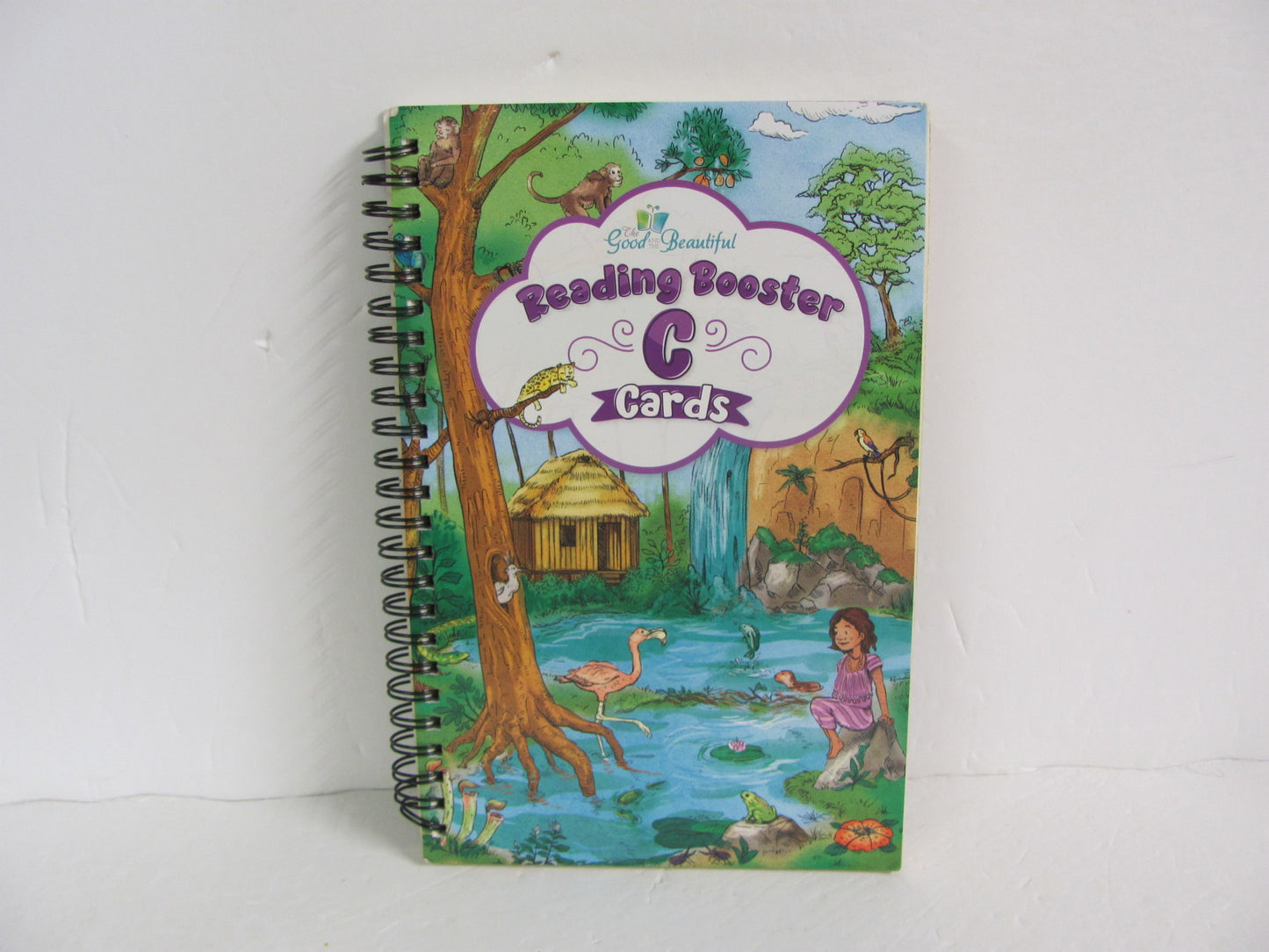 Reading Booster C Cards The Good and the Beautiful Fiction Books