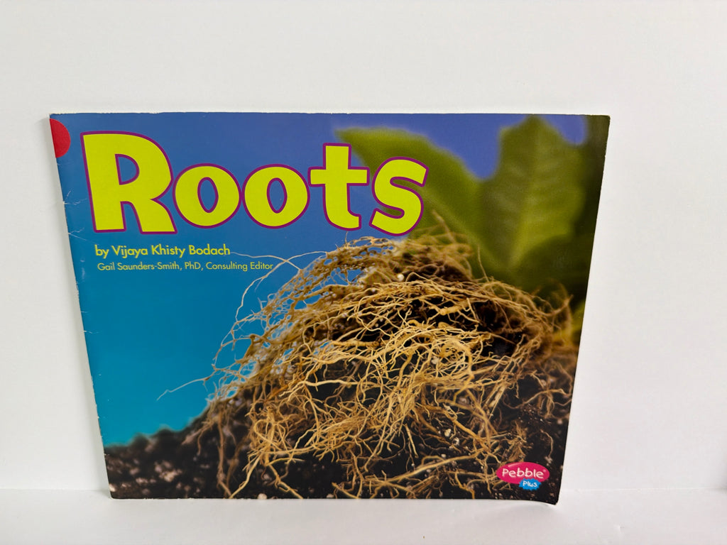 Roots Vijaya Khisty Bodach Capstone Press Paperback Books