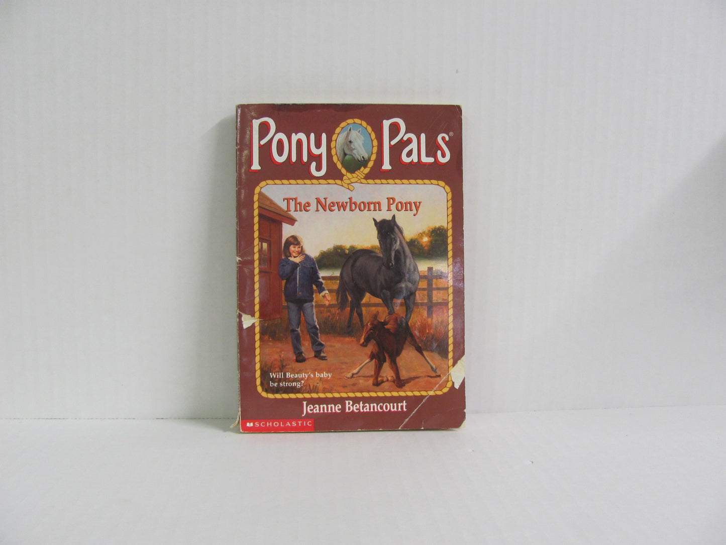 The Newborn Pony Scholastic Pre-Owned Jeanne Betancourt Children's Books