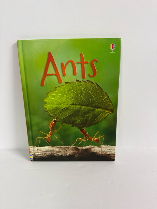 Ants Lucy Bowman Usborne Hardback Books