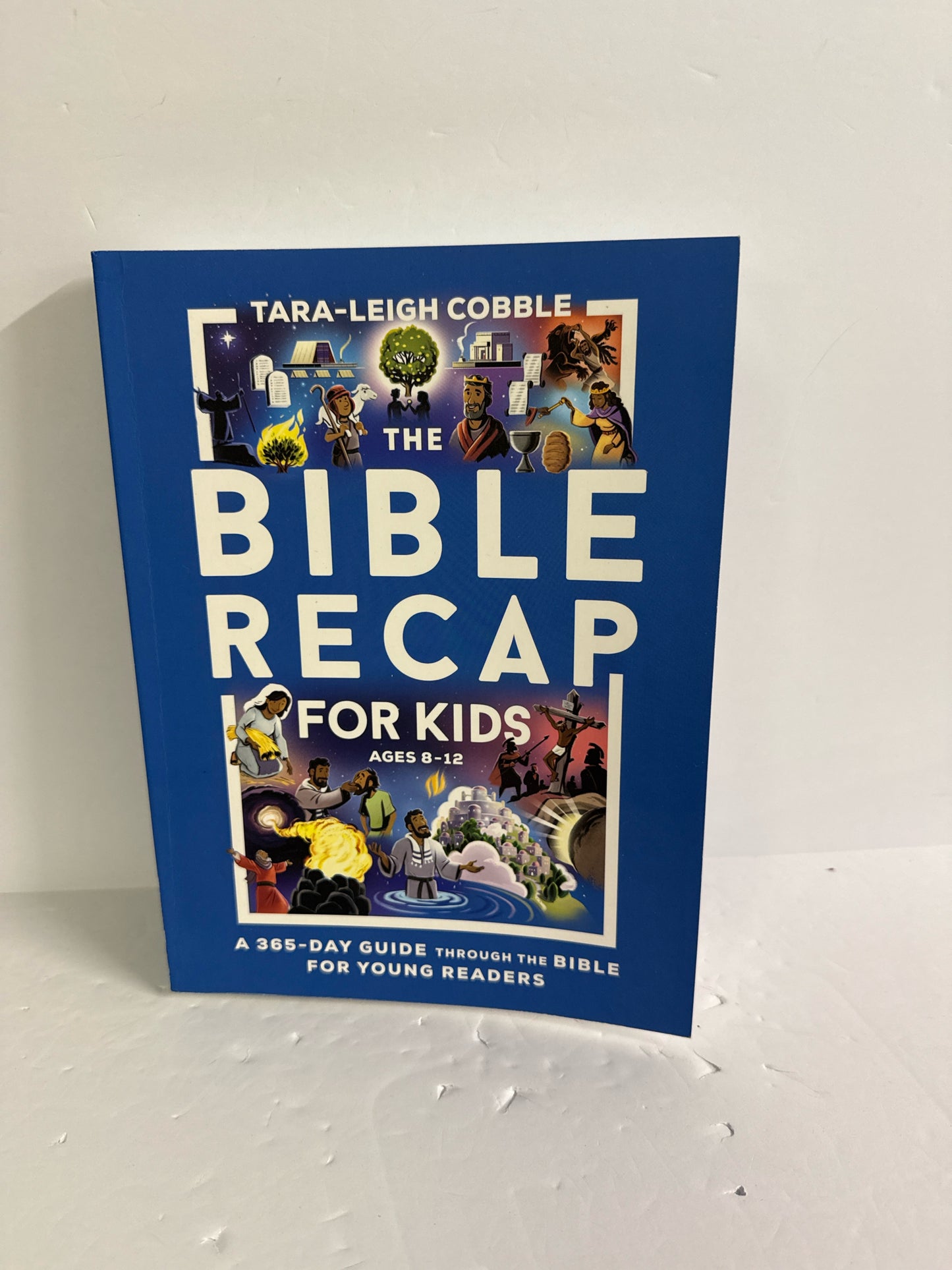 The Bible Recap for Kids Bethany House Pre-Owned Elementary Bible Textbooks