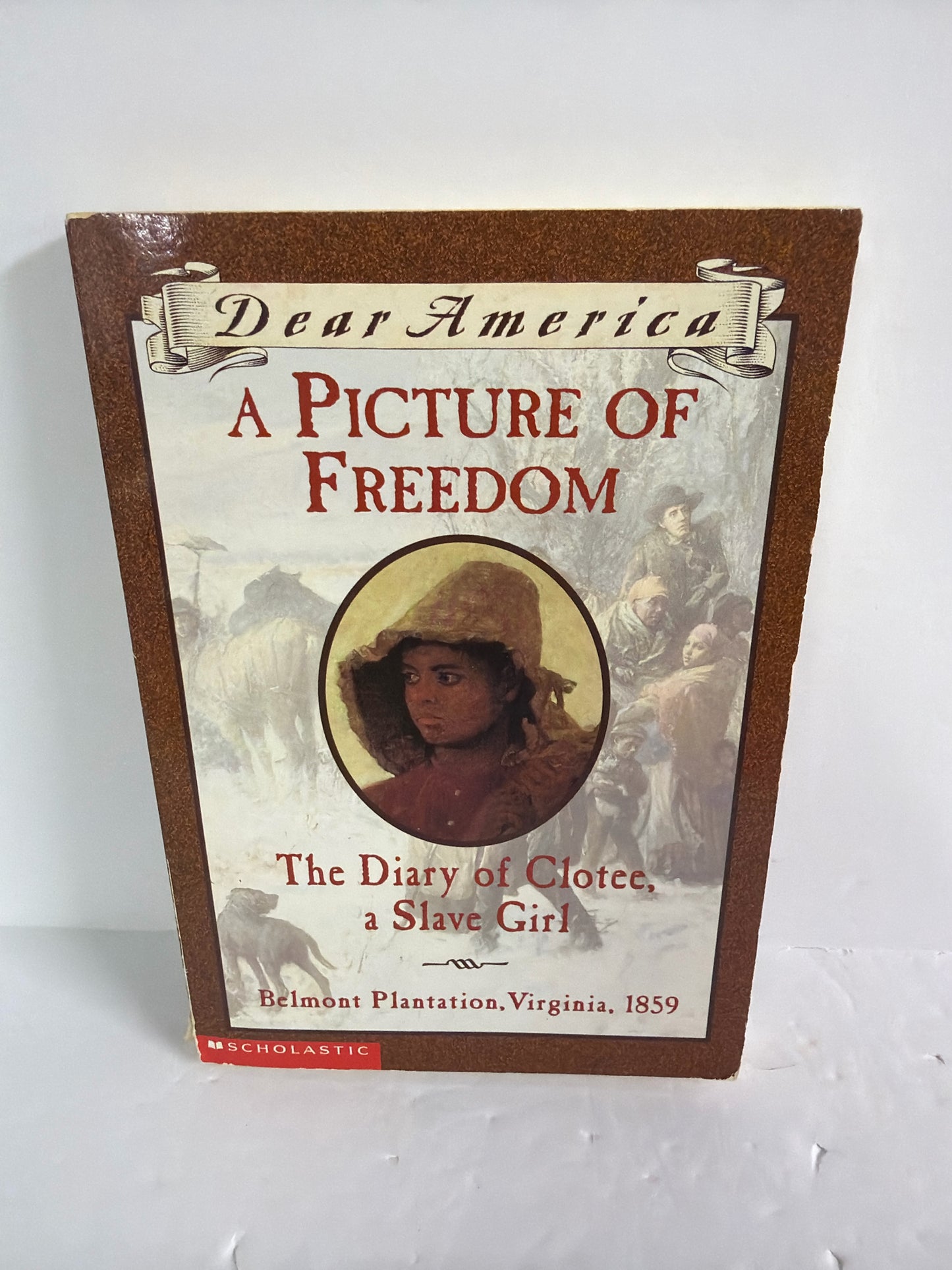 A Picture of Freedom Scholastic Pre-Owned Historical Fiction