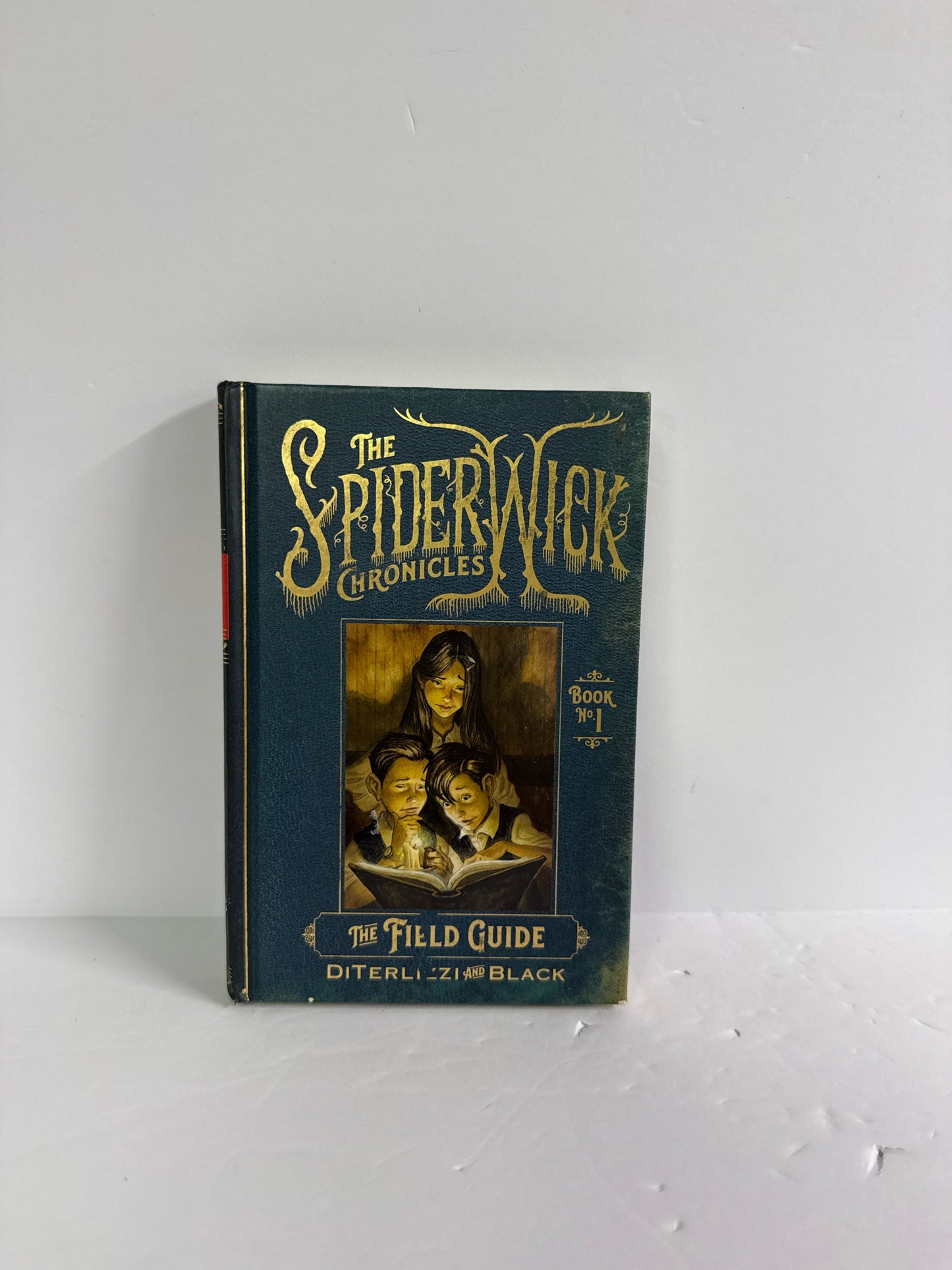 The Field Guide Simon & Schuster Pre-Owned Upper Elementary Fiction Books