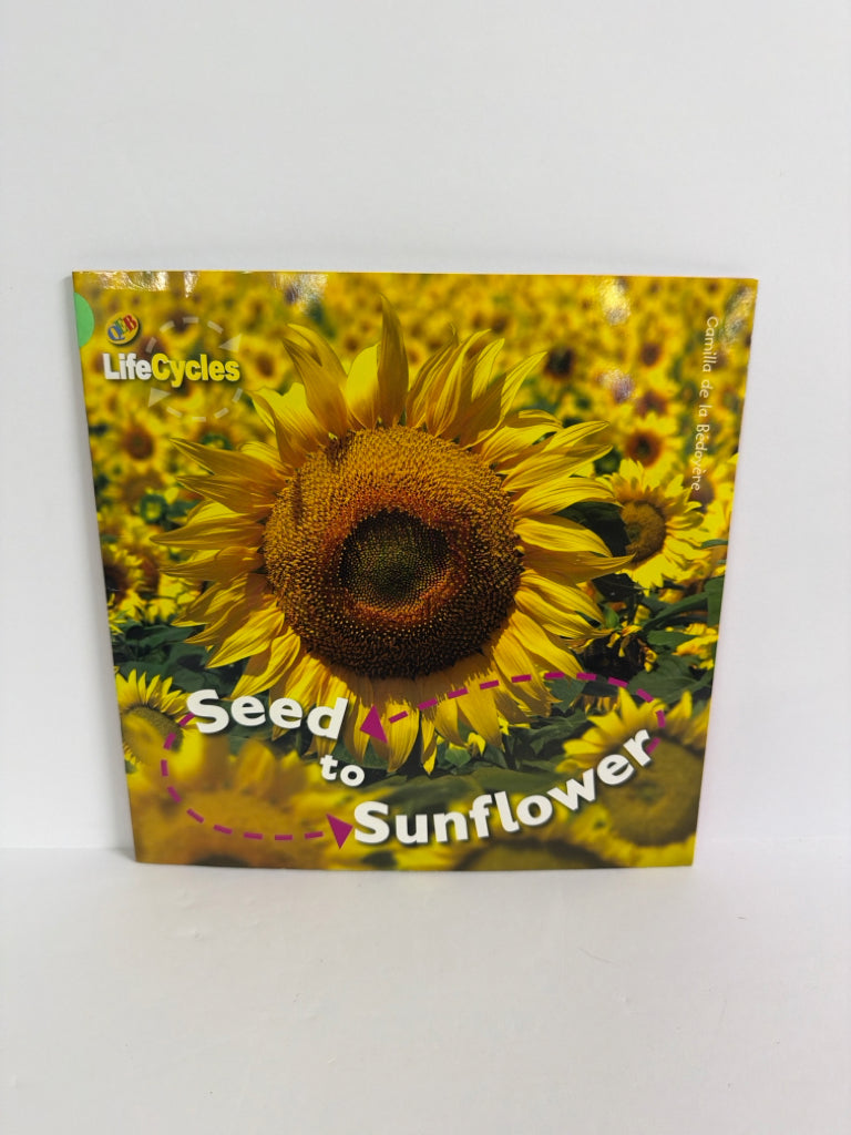 Seed to Sunflower Camilla de la Bedoyere QEB Pub Paperback Books