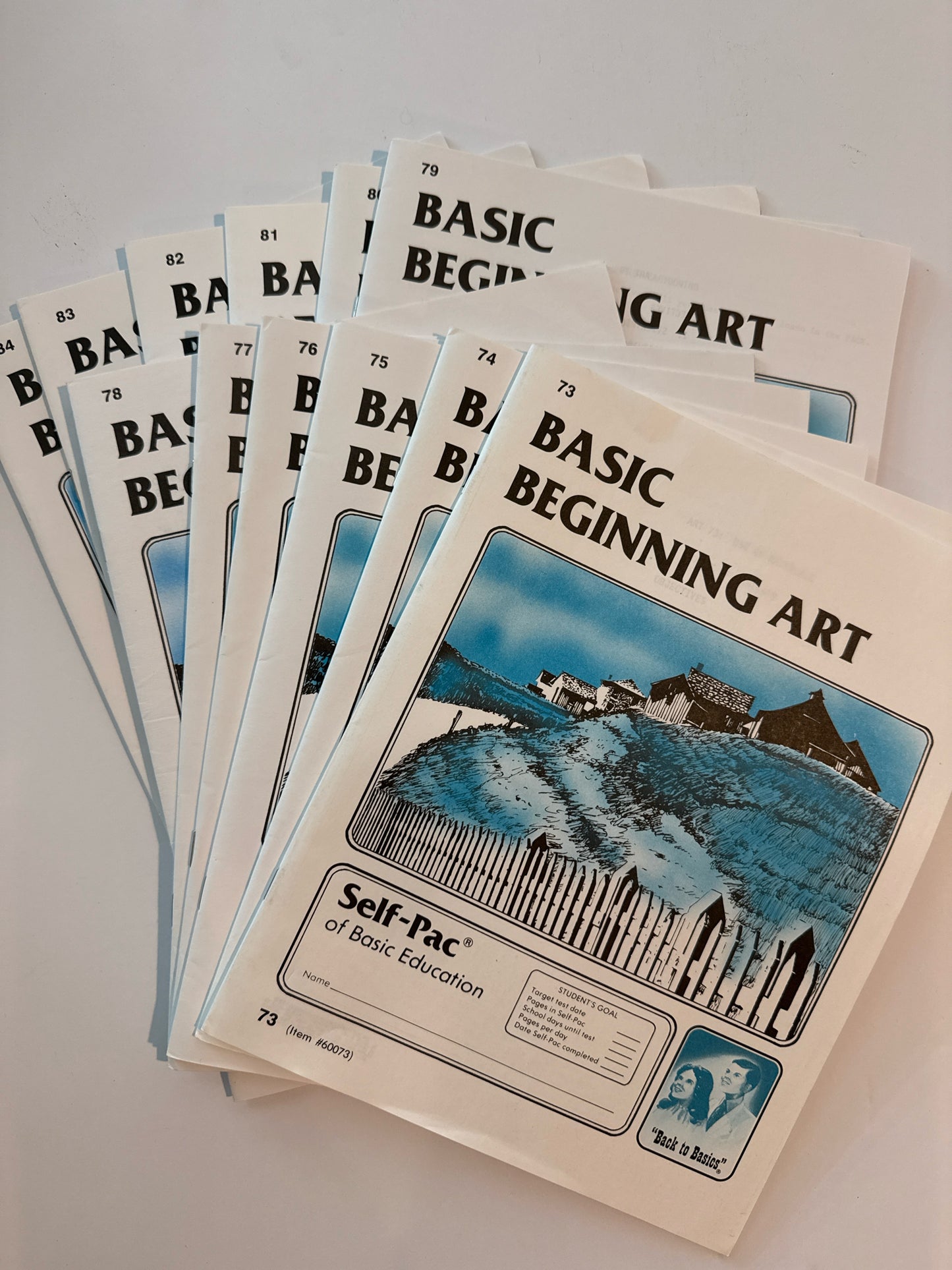 Basic Beginning Art ACE Pace  Pre-Owned Middle School Art Books