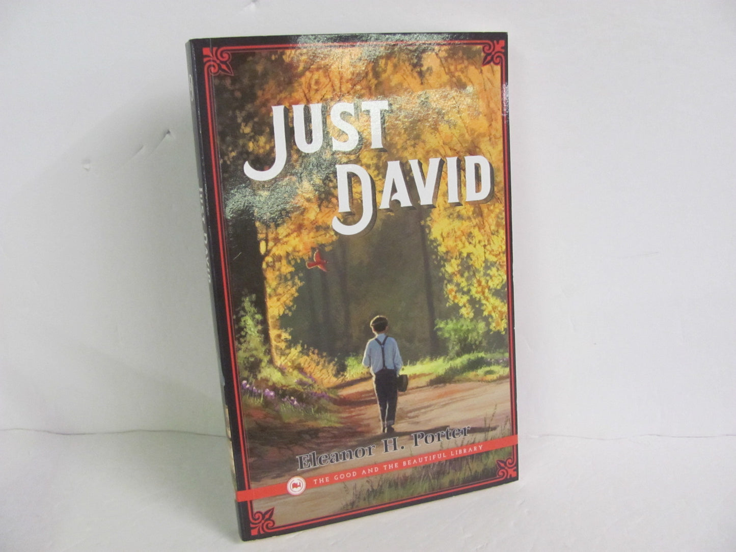 Just David Good and the Beautiful Student Book Pre-Owned Porter Fiction Books