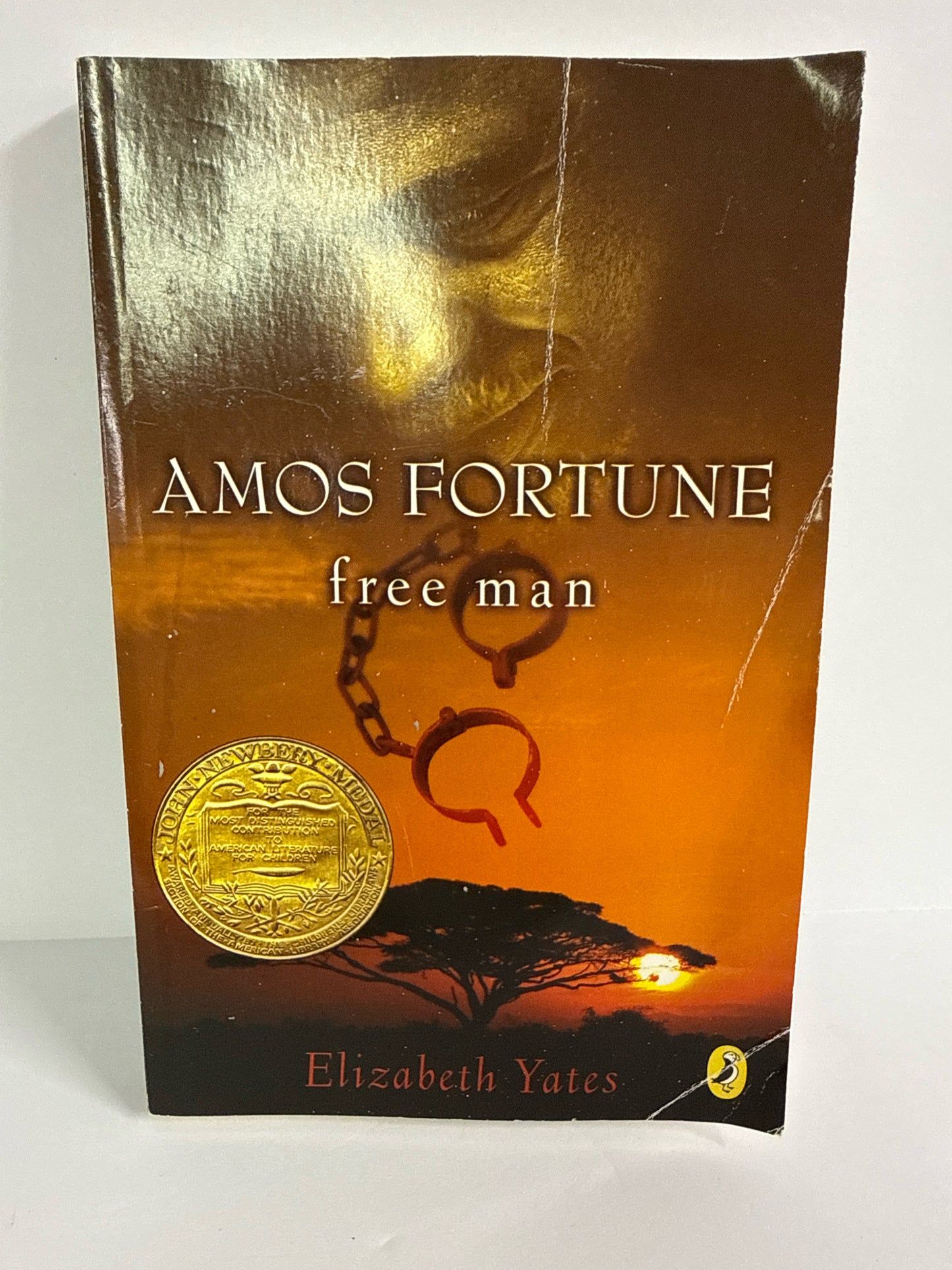 Amos Fortune Puffin Pre-Owned Elizabeth Yates Upper Elementary Nonfiction Books