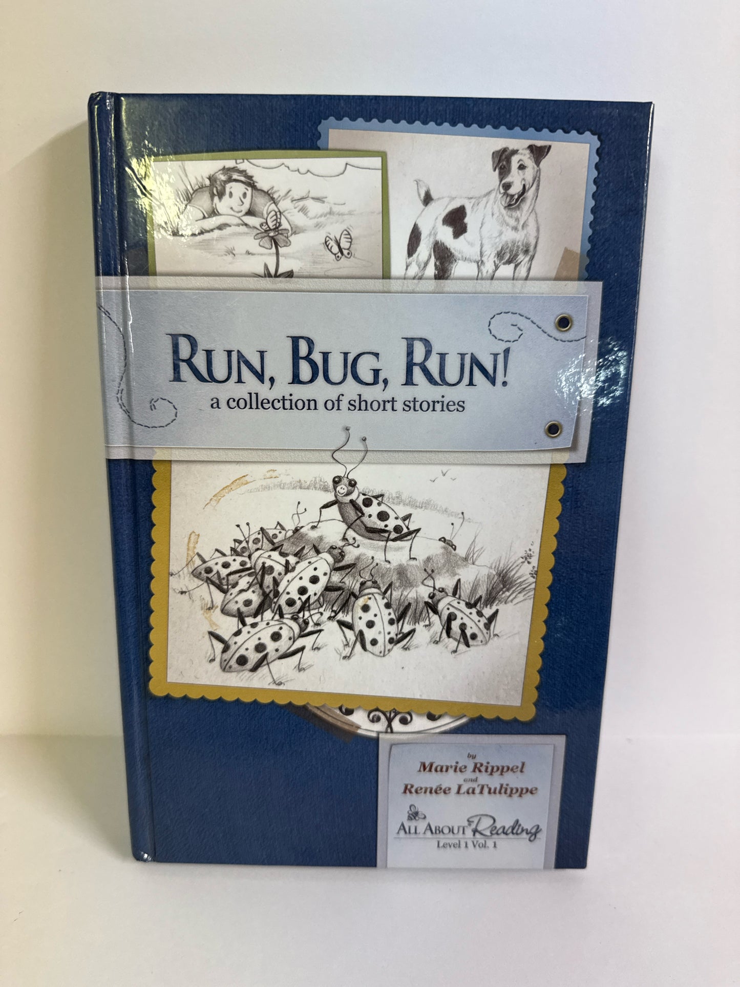 Run, Bug, Run All About Reading Reader Pre-Owned Marie Rippel Reading Textbooks