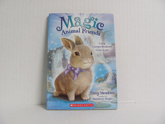 Lucy Longwhiskers Gets Lost Scholastic Pre-Owned Daisy Meadows Children's Books