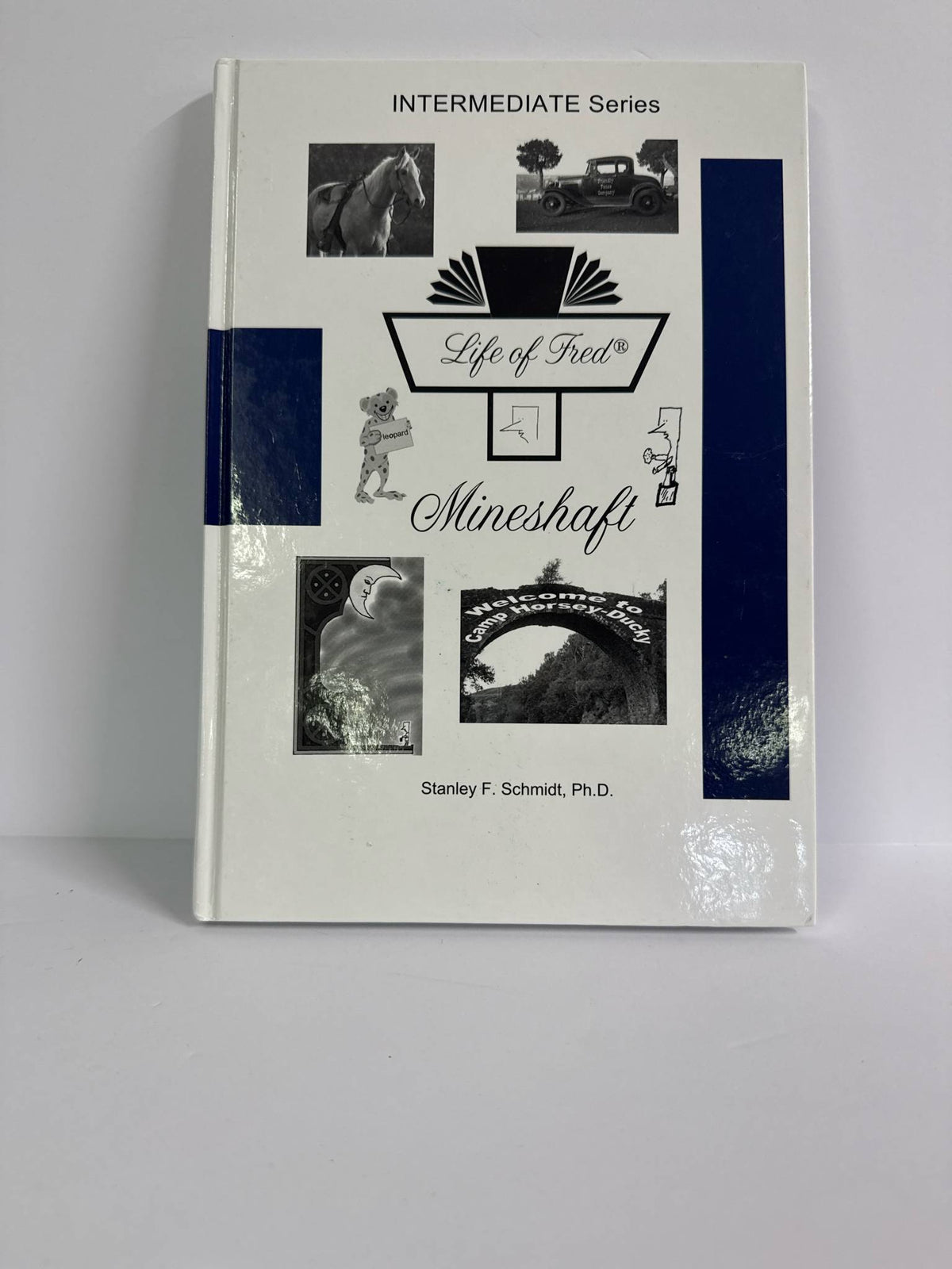 Mineshaft Life of Fred Student Book Pre-Owned Elementary Mathematics Textbooks