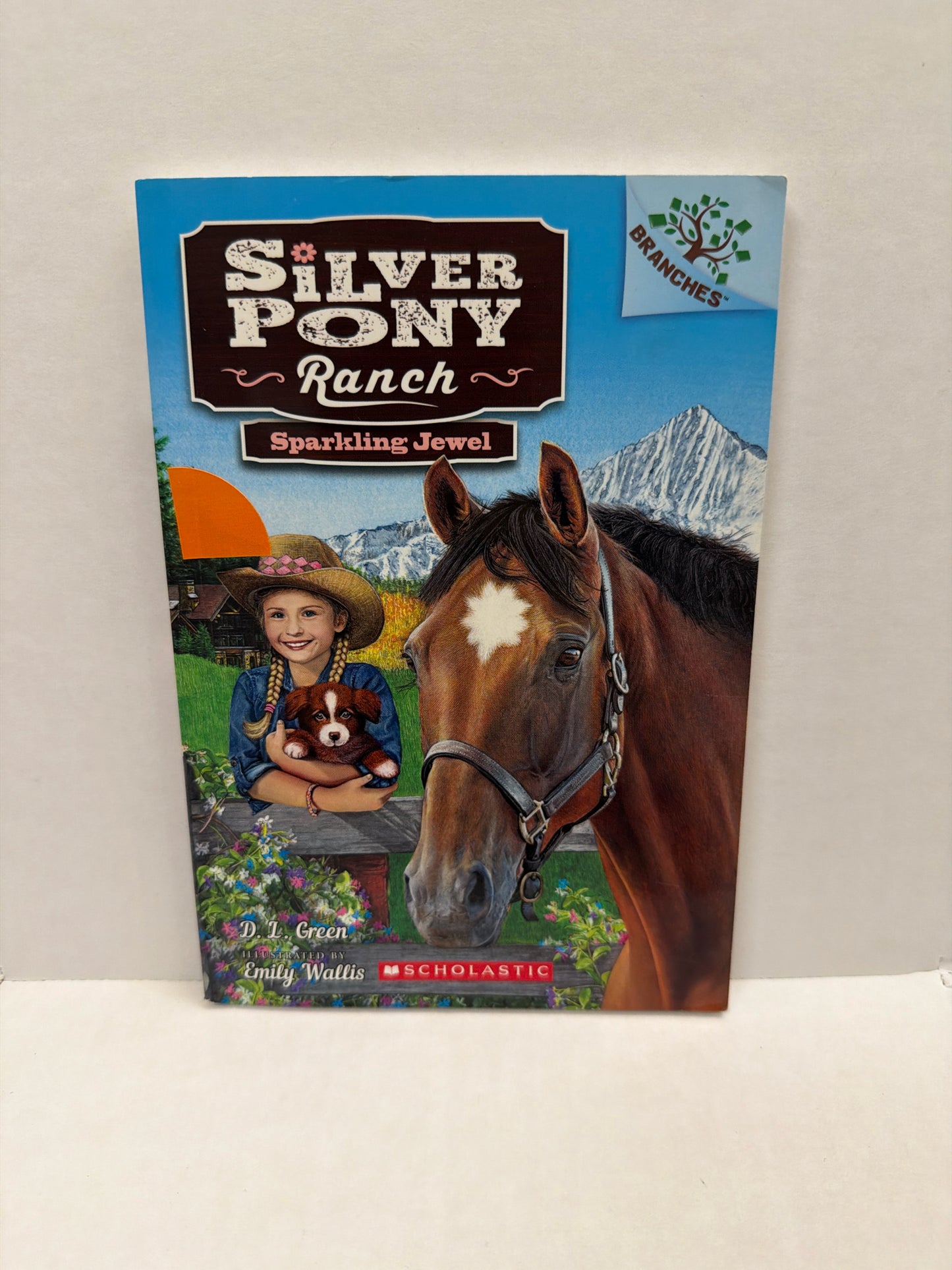 Silvery Pony Ranch: Sparkling Jewel Scholastic Pre-Owned Fiction Books