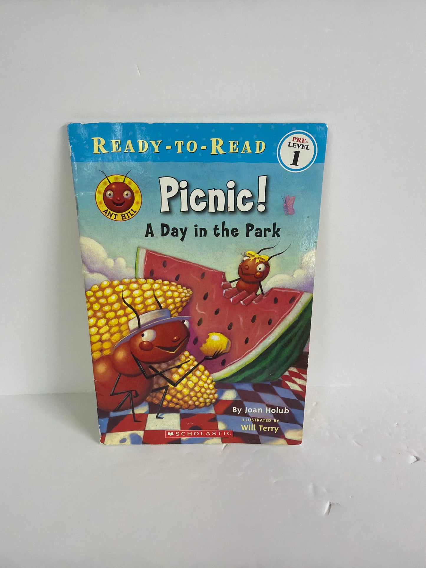 Picnic! A Day in the Park Scholastic Pre-Owned Joan Holub Phonic Readers