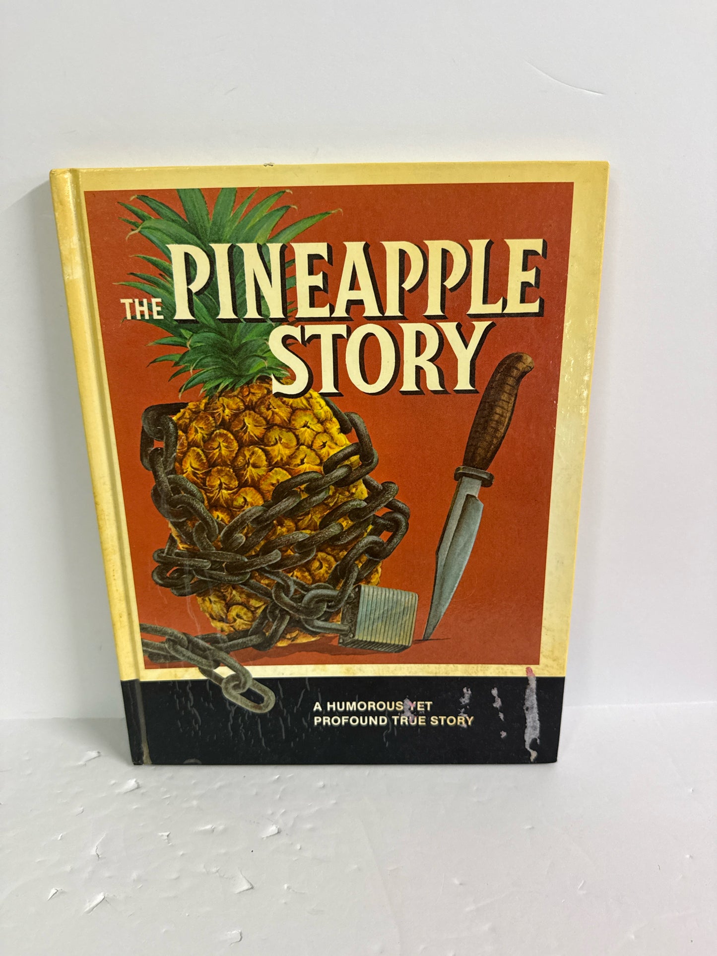The Pineapple Story Institute in Basic L Hardback Books