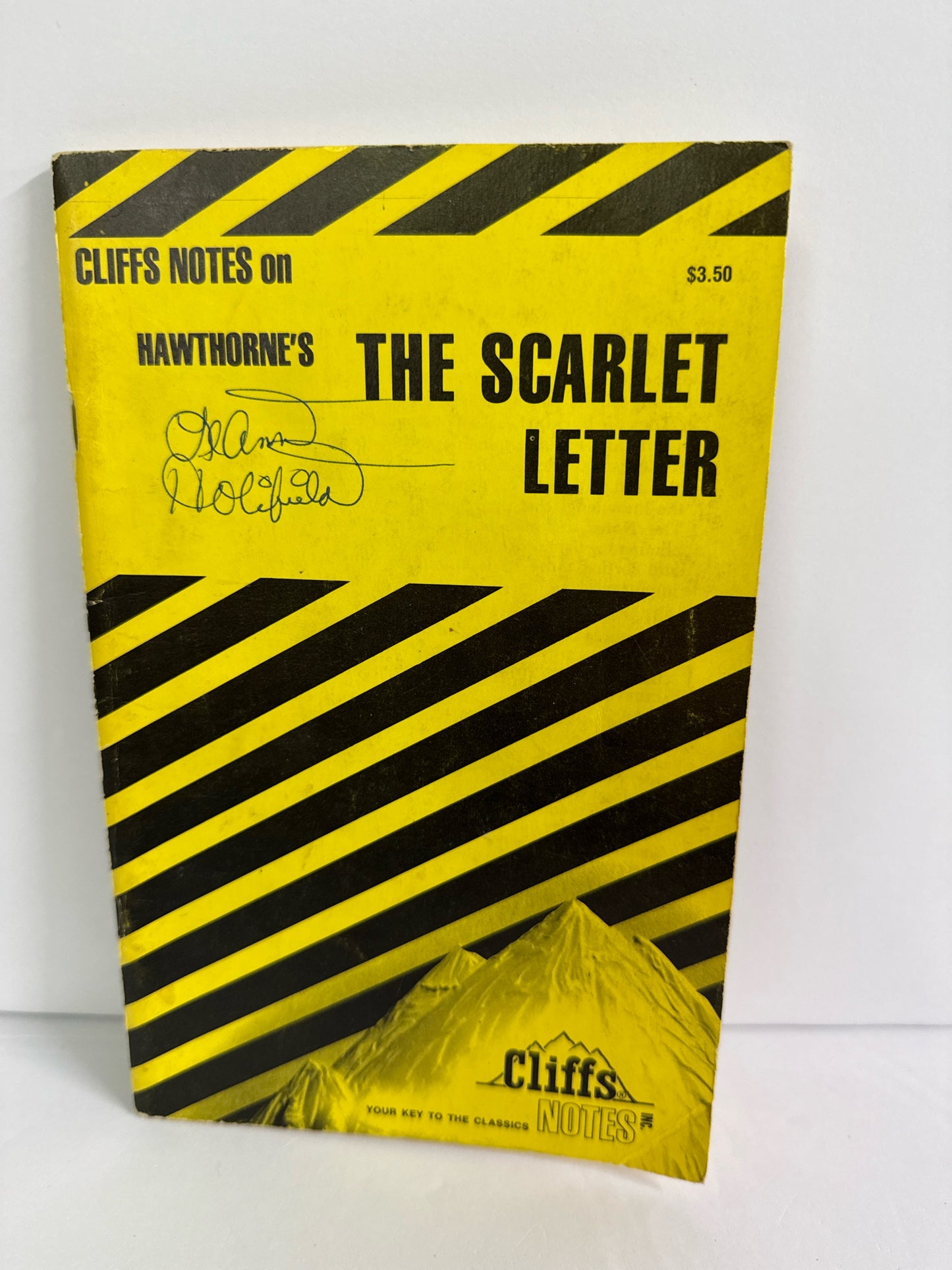 The Scarlet Letter Cliffs Notes Cliffs Notes Hawthorne Fiction Books