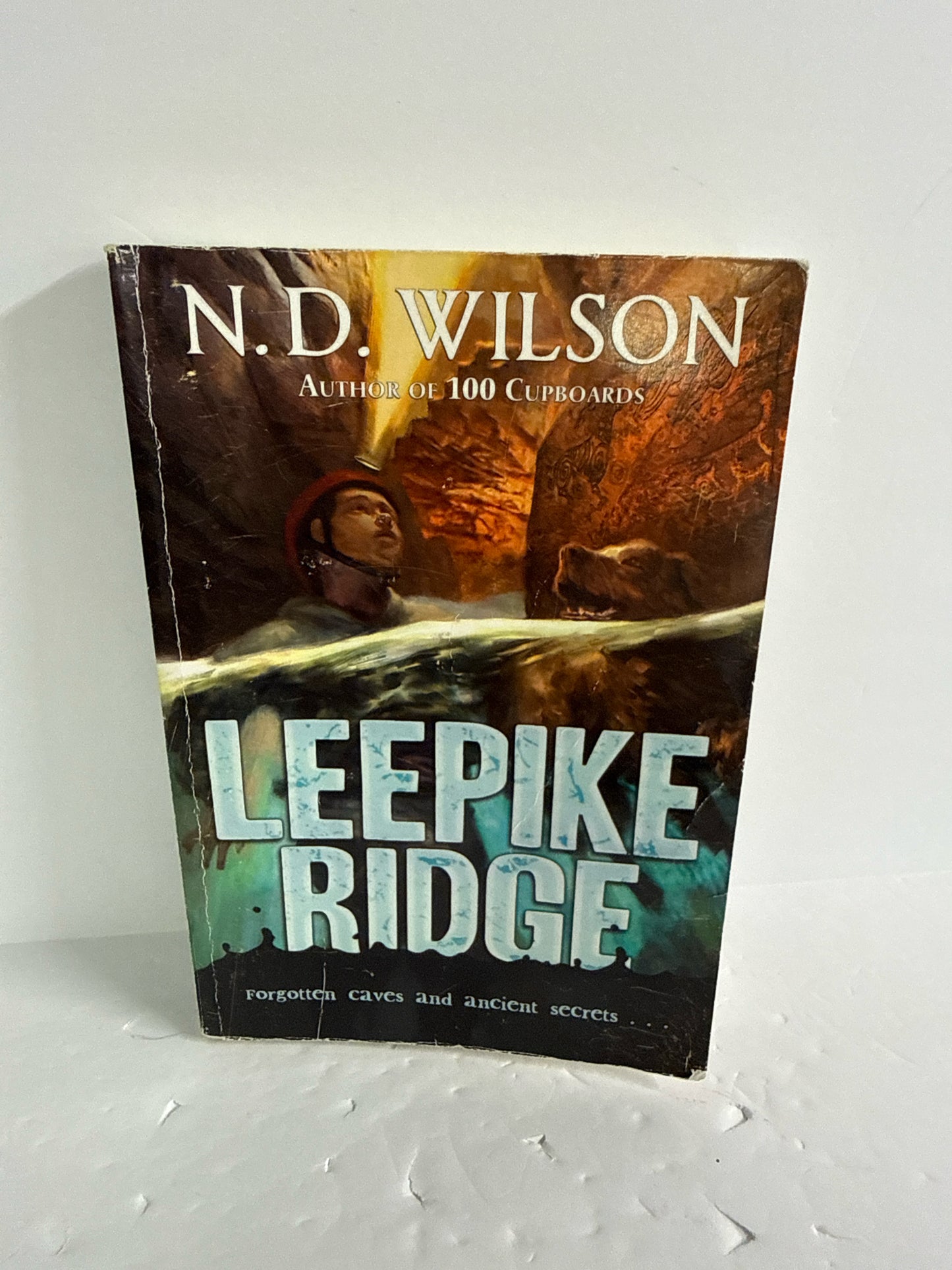 Leepike Ridge Yearling Pre-Owned N.D. Wilson Fiction