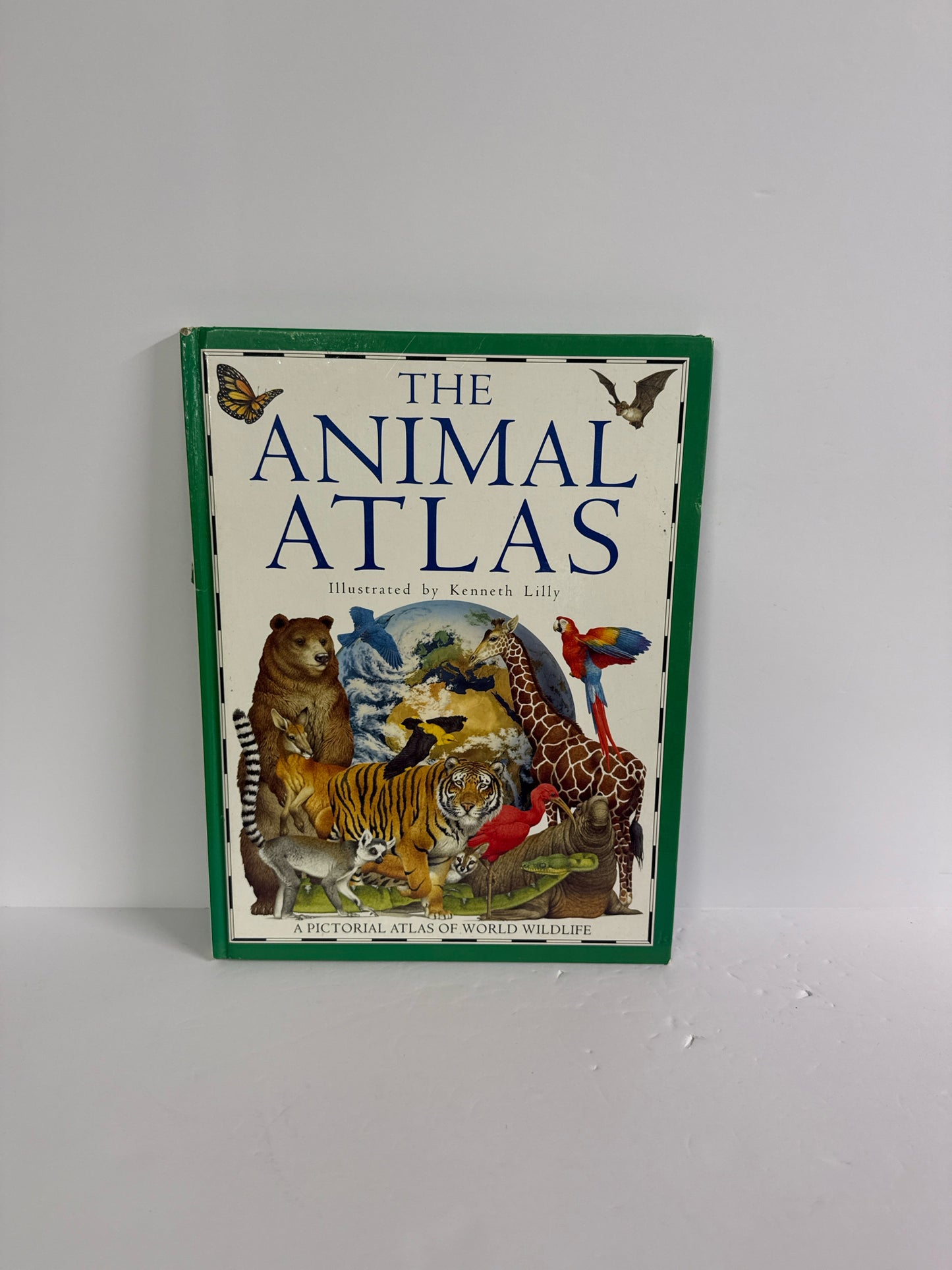 The Animal Atlas DK Publishing Pre-Owned Elementary Animals/Insects Books
