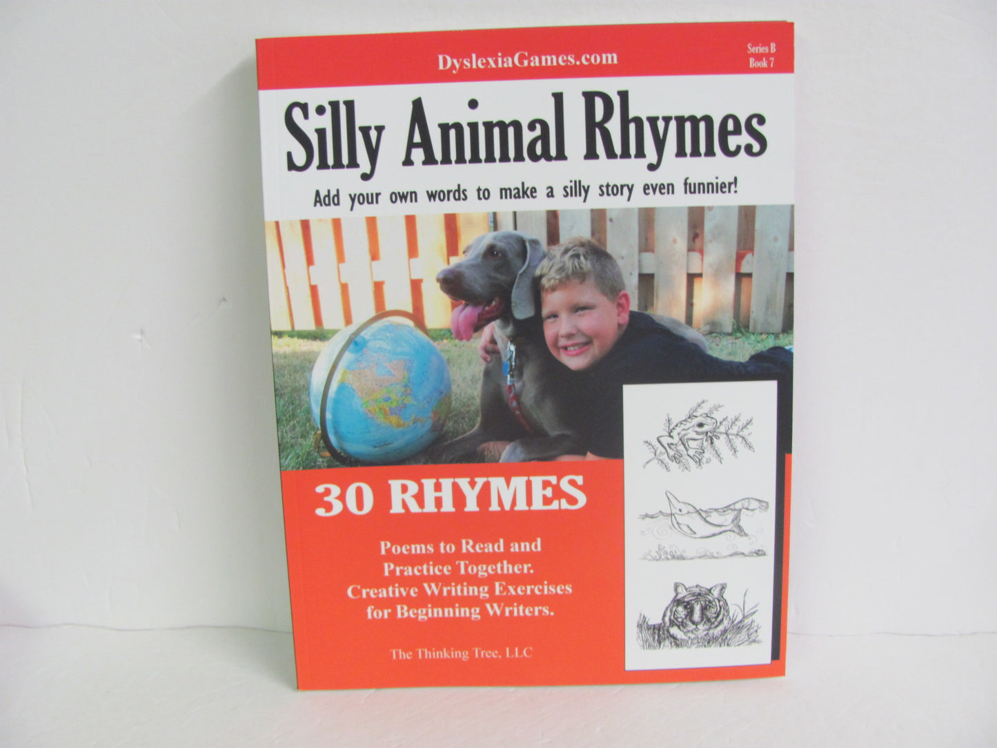 Silly Animal Rhymes Dyslexia Games Pre-Owned Educator Resources