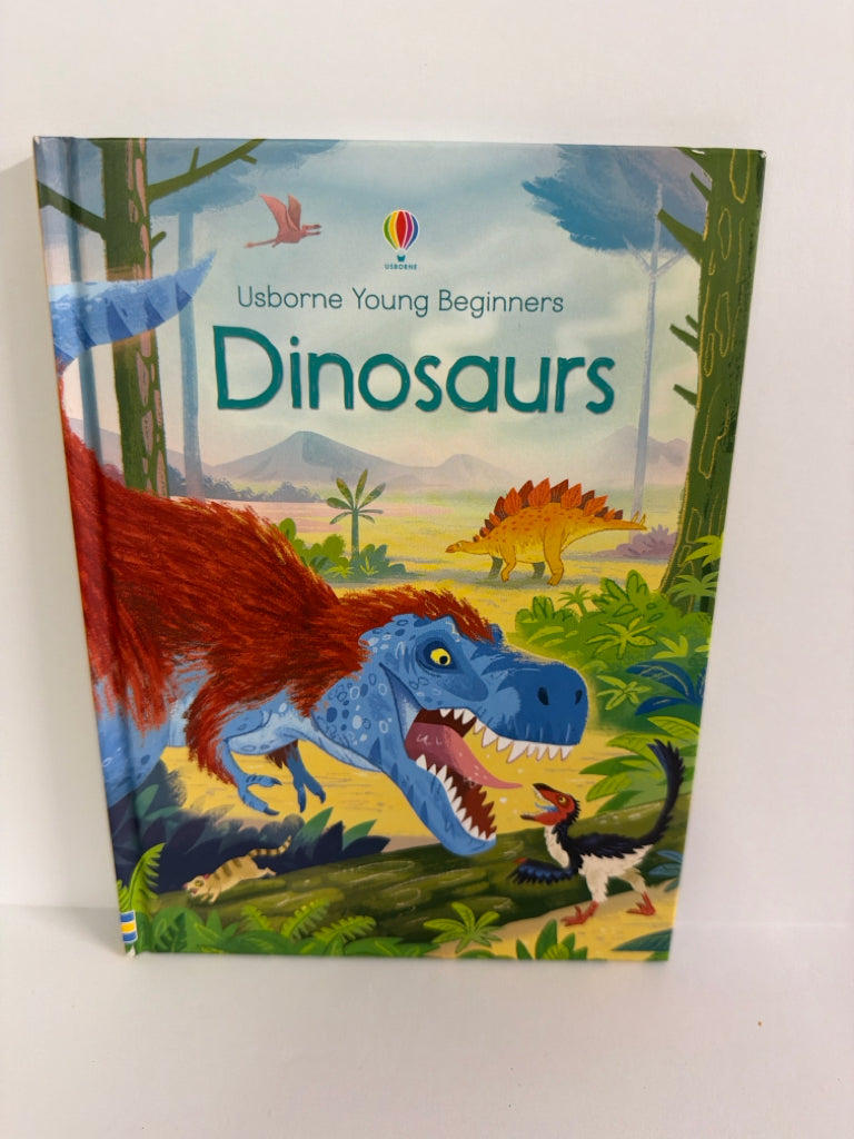 Dinosaurs Emily Bone Usborne Hardback Books
