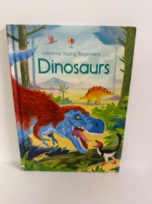 Dinosaurs Emily Bone Usborne Hardback Books
