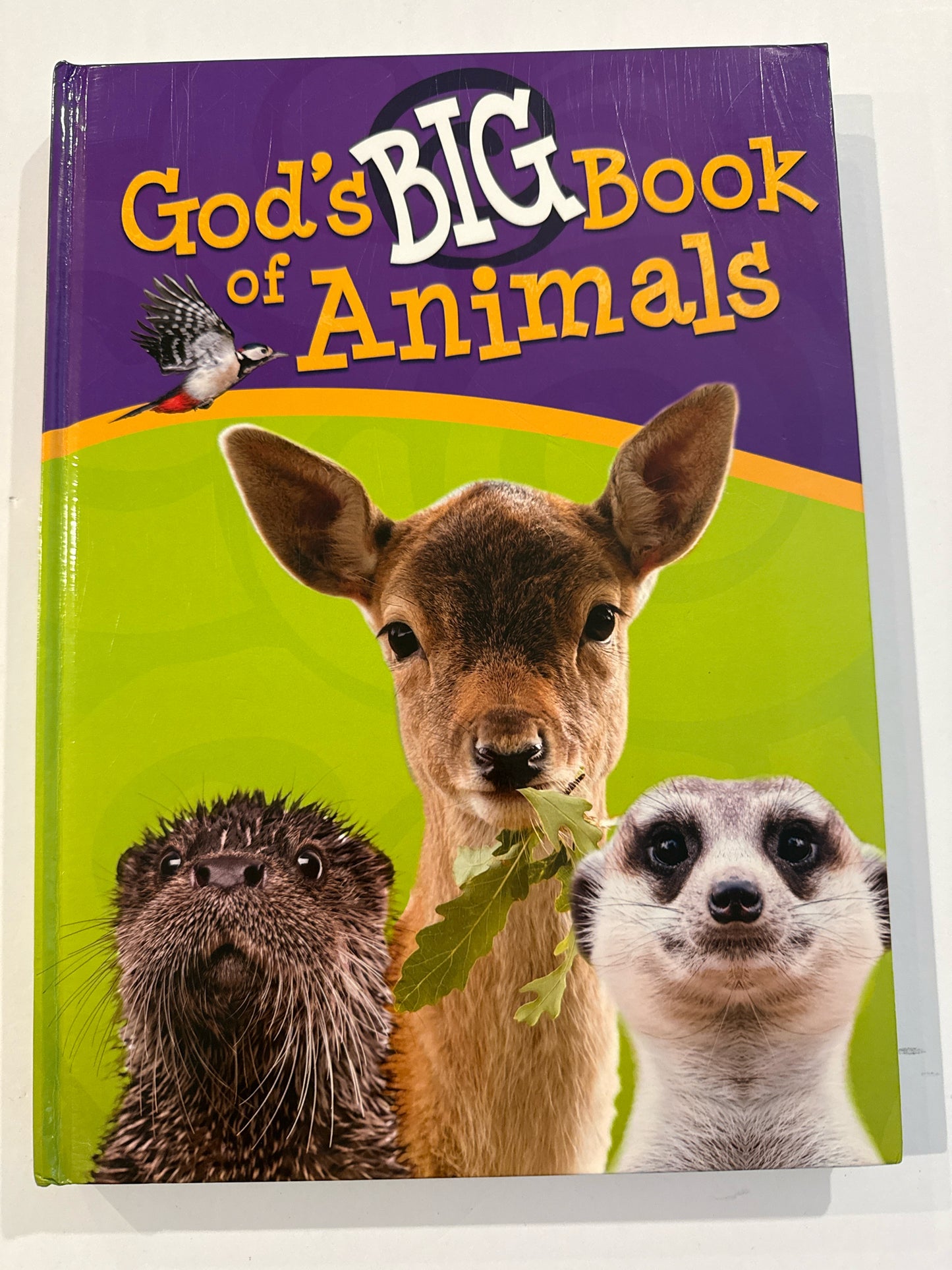 God's Big Book of Animals Master Books Pre-Owned Elementary Science Textbooks
