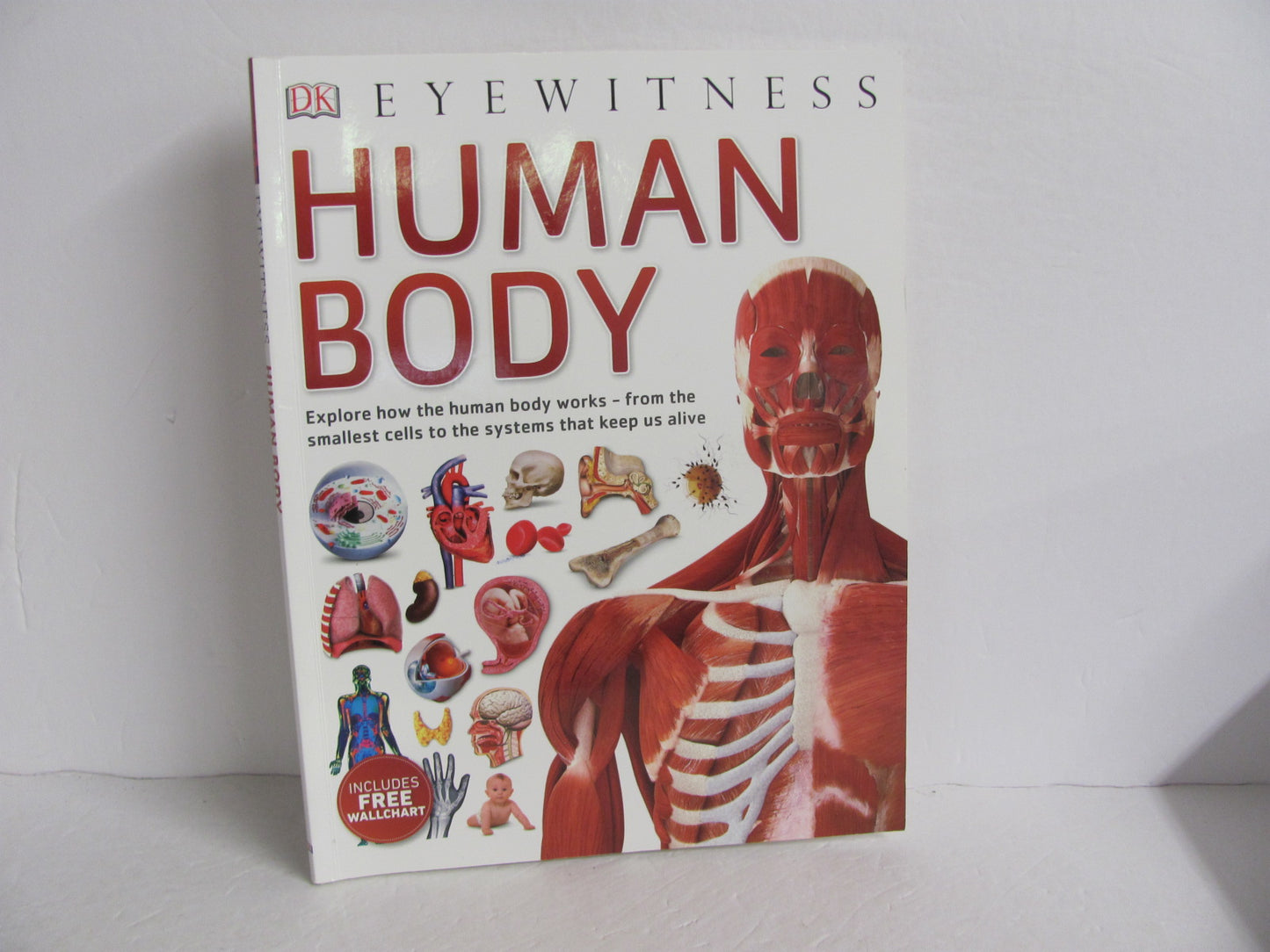 EyeWitness Human Body DK Publishing Pre-Owned Biology/Human Body Books