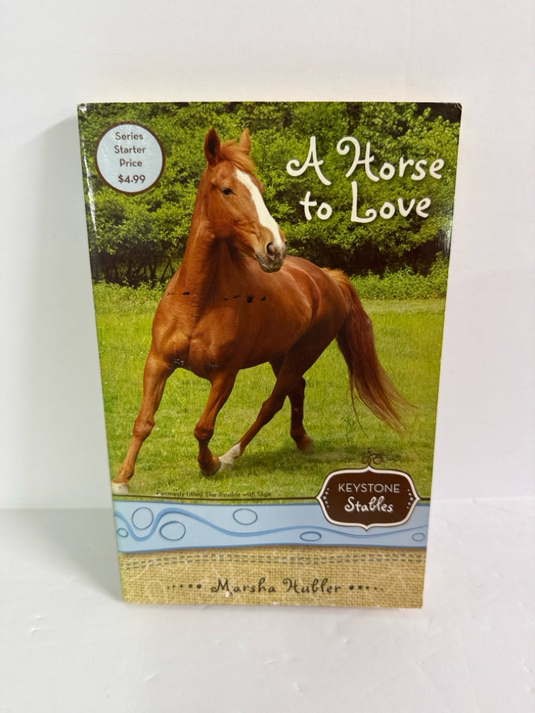 A Horse To Love Marsha Hufler Zonderkidz- Juvenile Books