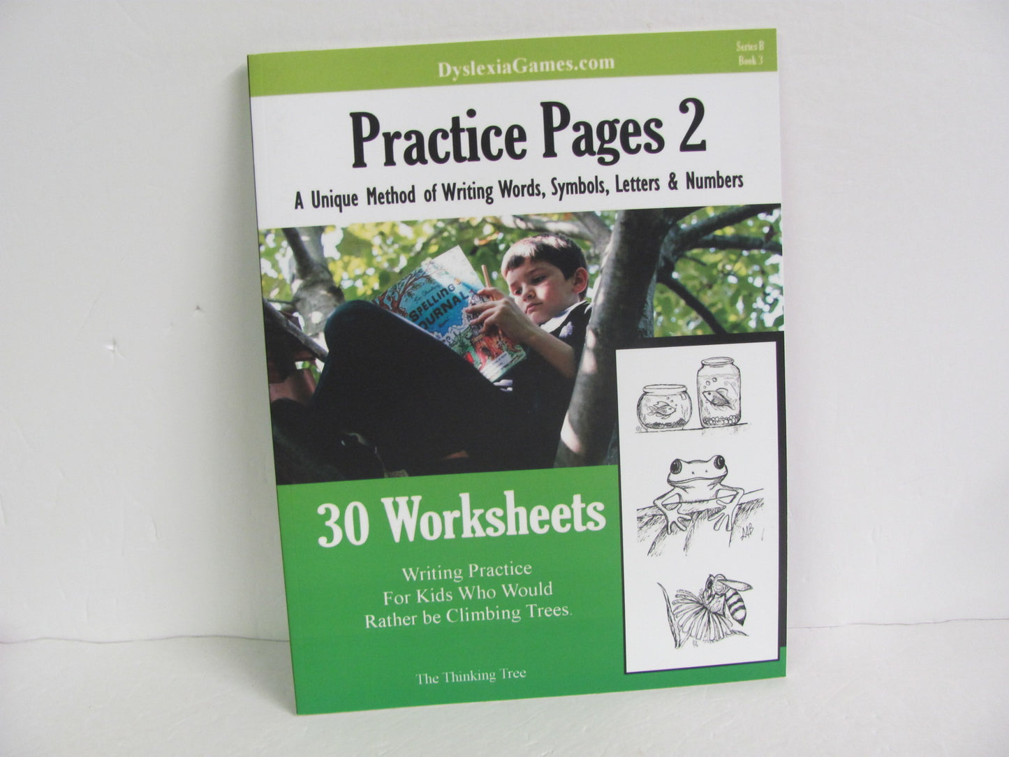Practice Pages 2 Dyslexia Games Pre-Owned Thinking Tree Educator Resources