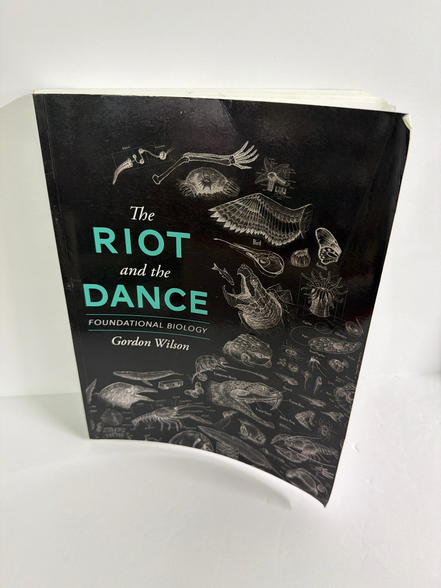 The Riot and the Dance Canon Press Student Text  Pre-Owned Science Textbooks
